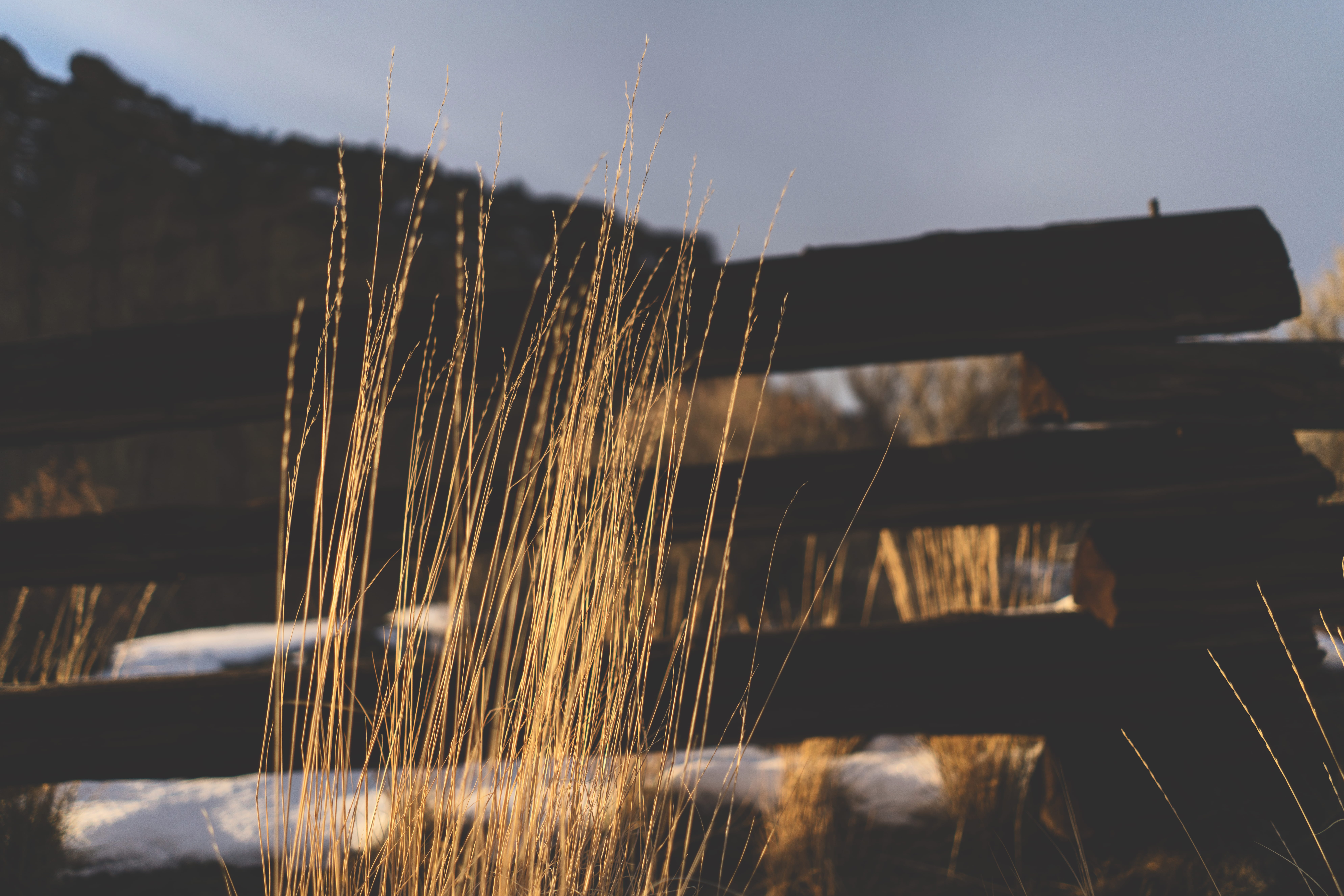 desert, beauty in nature, snow, selective focus, sky, united states, outdoors, fence, water, weeds, no people, field, land, focus on foreground, wood - material, HD Wallpaper