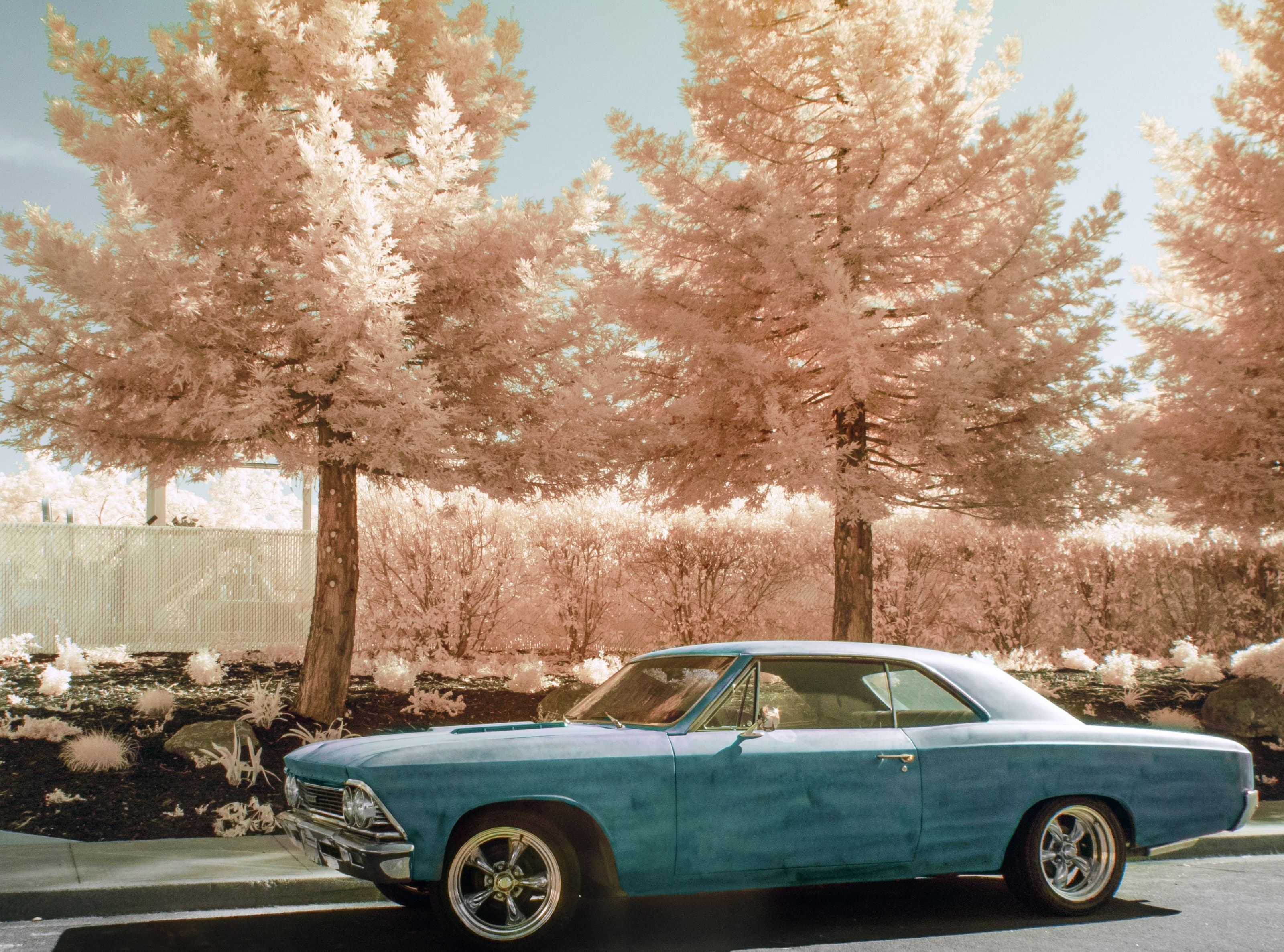 stationary, Solano, Classic Cars, 2K, Chevelle, day, unitedstates, infrared, vintage, retro styled, road, Motors, land vehicle, California, transparent, HD Wallpaper