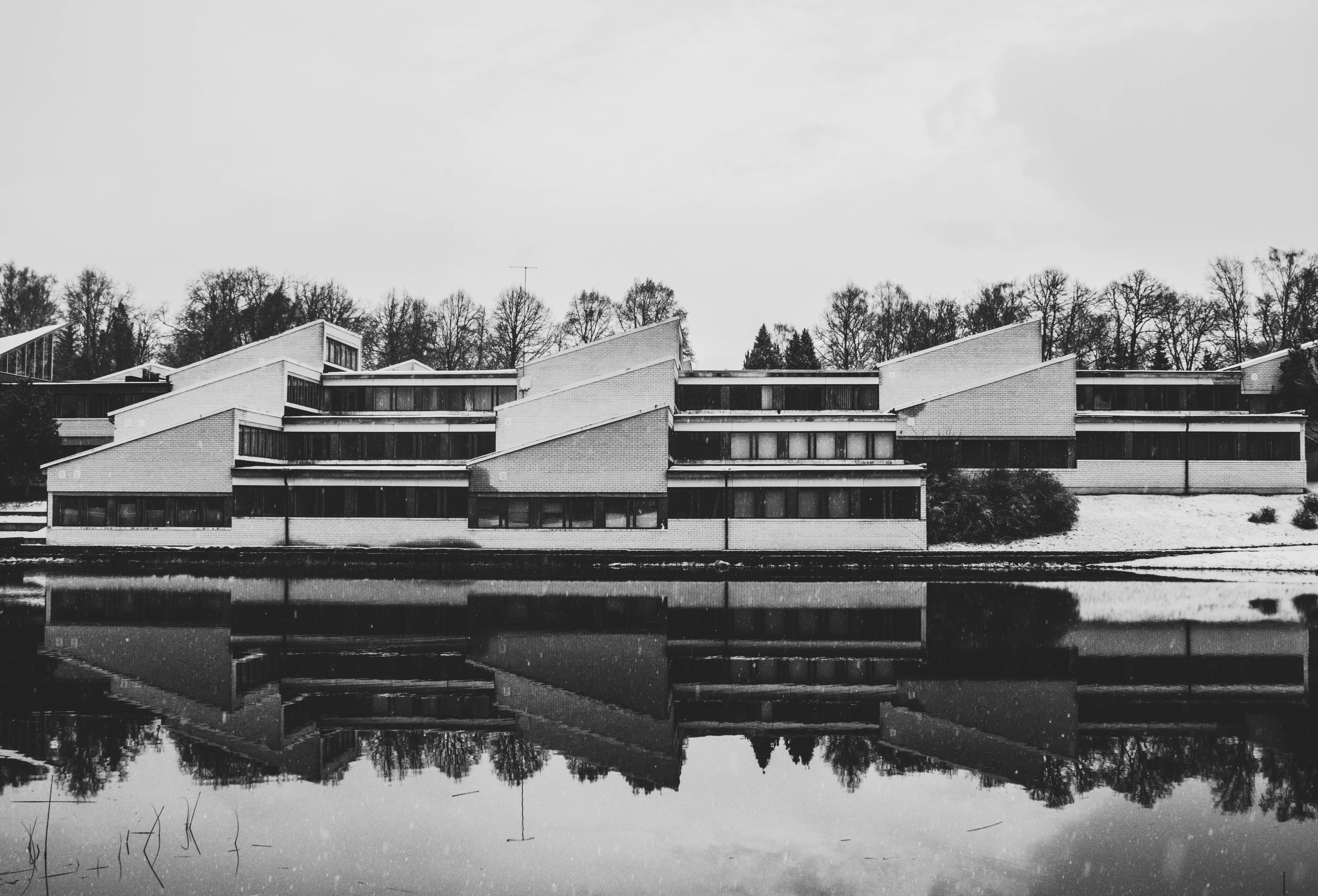 plant, outdoors, nature, waterfront, reflections, tree, water, grayscale, urban, 4K, built structure, lake, sky, day, cold temperature, black and white, HD Wallpaper