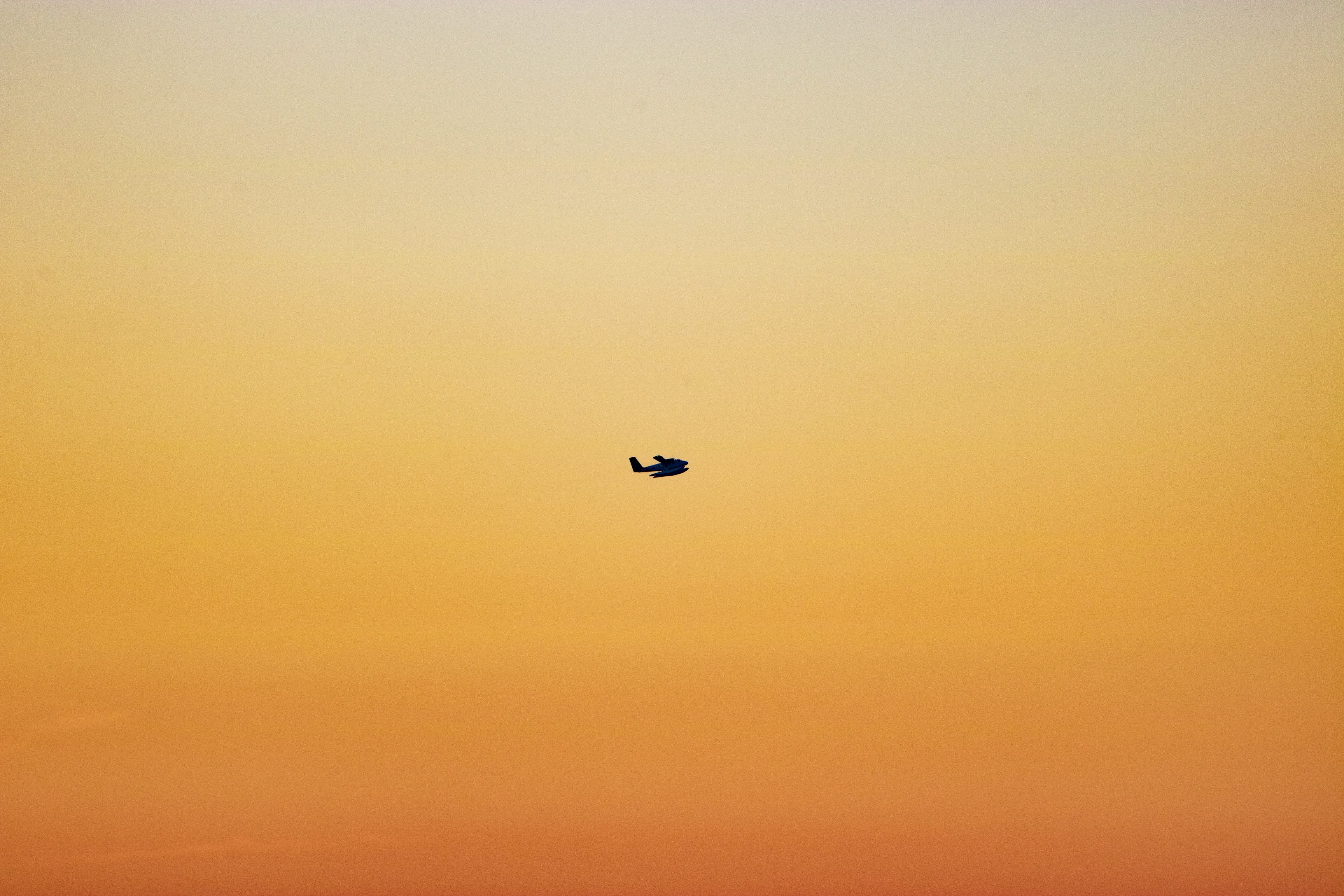 mid-air, bird, vertebrate, outdoors, no people, photography, beauty in nature, horizon, sun, vehicle, adventure, leisure activities, low angle view, focus, HD Wallpaper