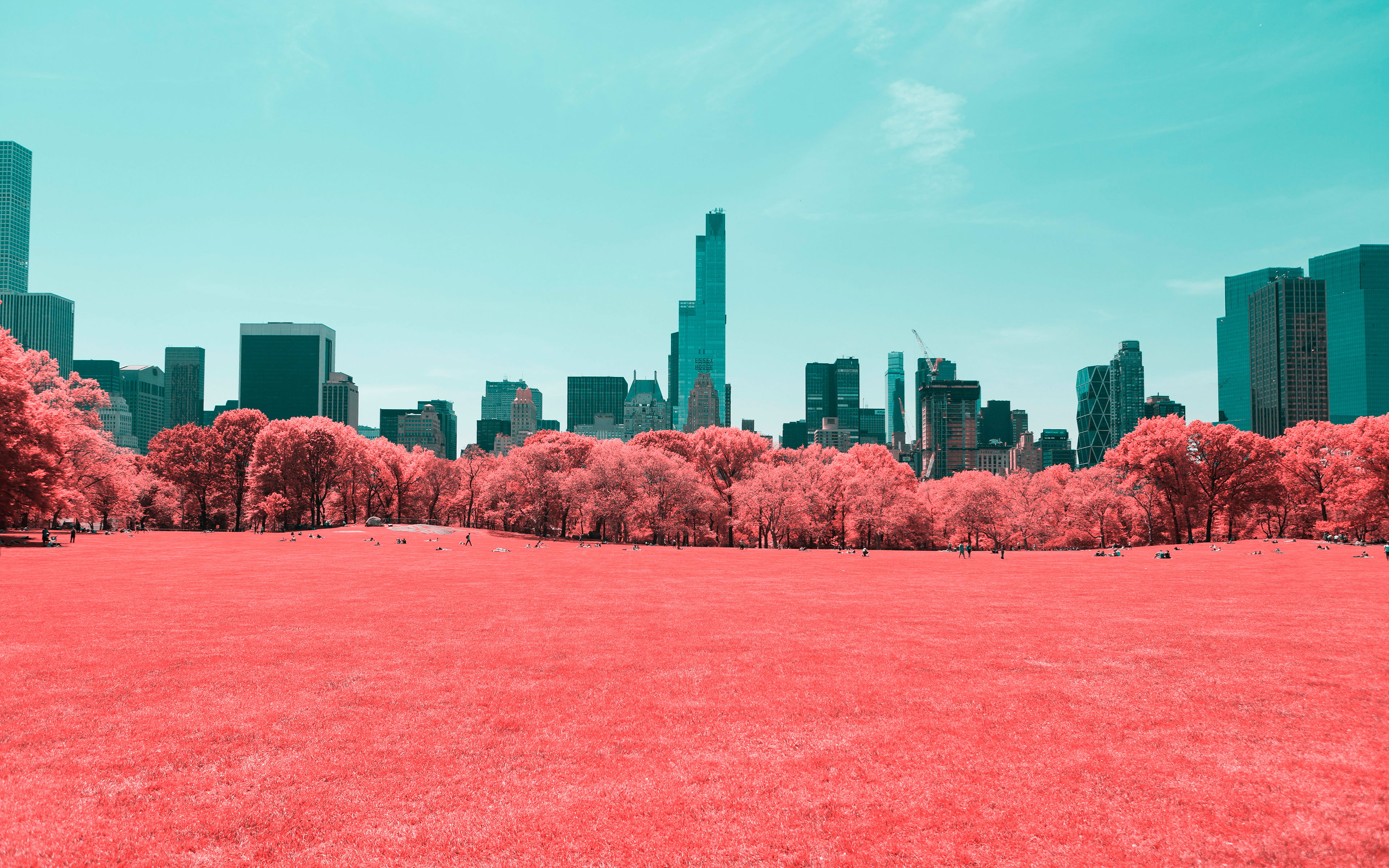 4K, park, central, infrared, nyc, HD Wallpaper