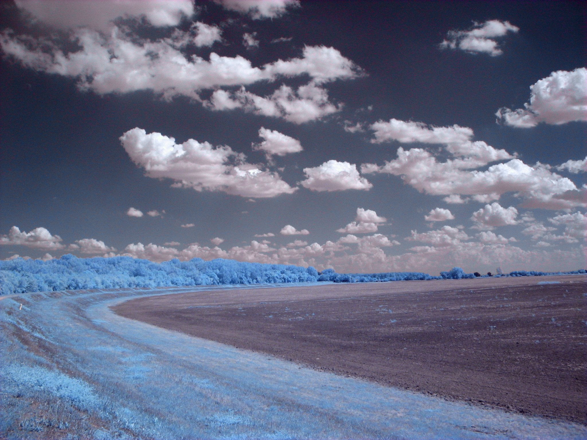 field, 1080P, grass, clouds, trees, infrared, HD Wallpaper