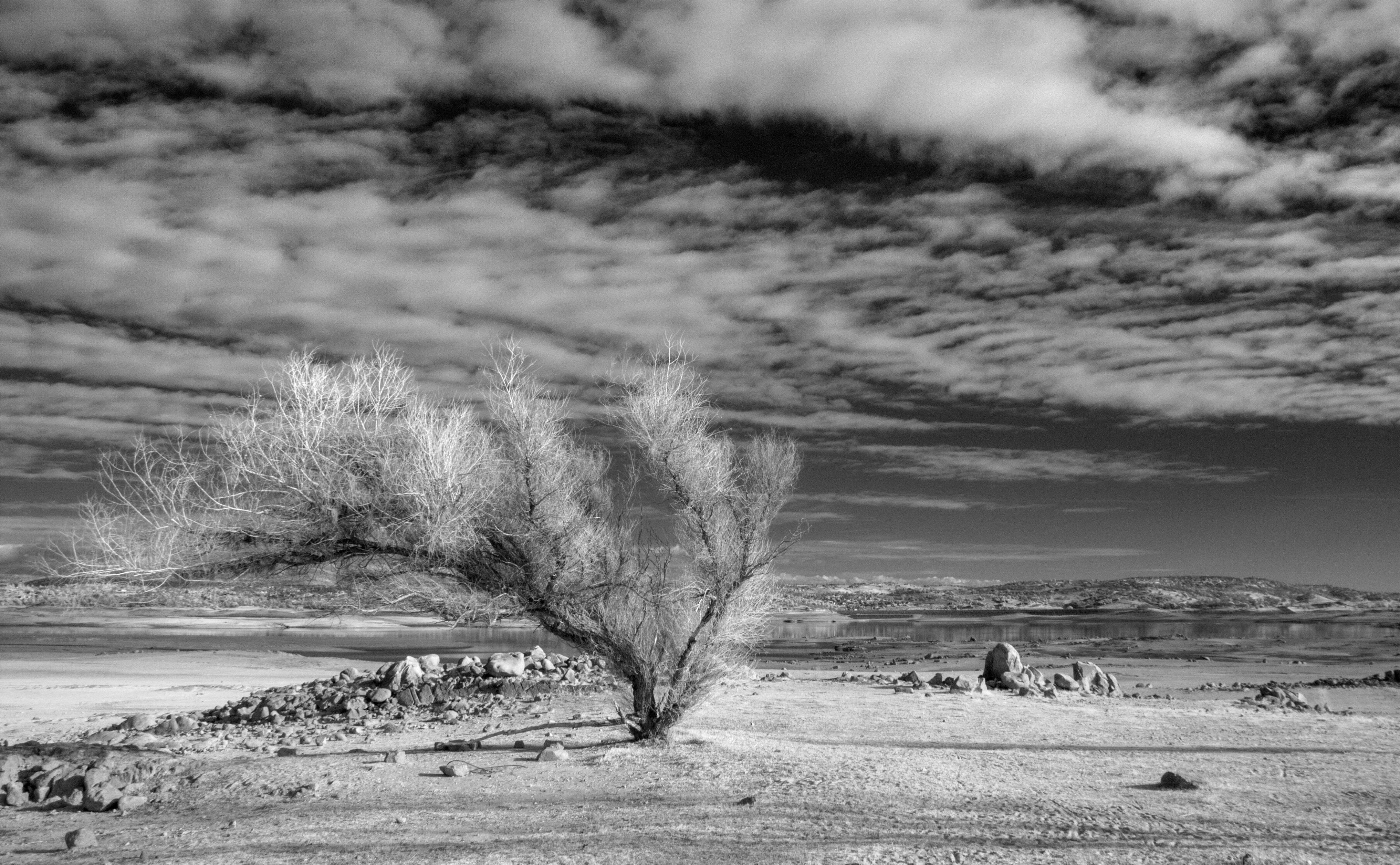 Black and White, landscape, folsom, beach, infrared, California, 4K, folsomlake, non-urban scene, leafed, tranquil scene, outdoors, Water, sky, Tree, nature, HD Wallpaper