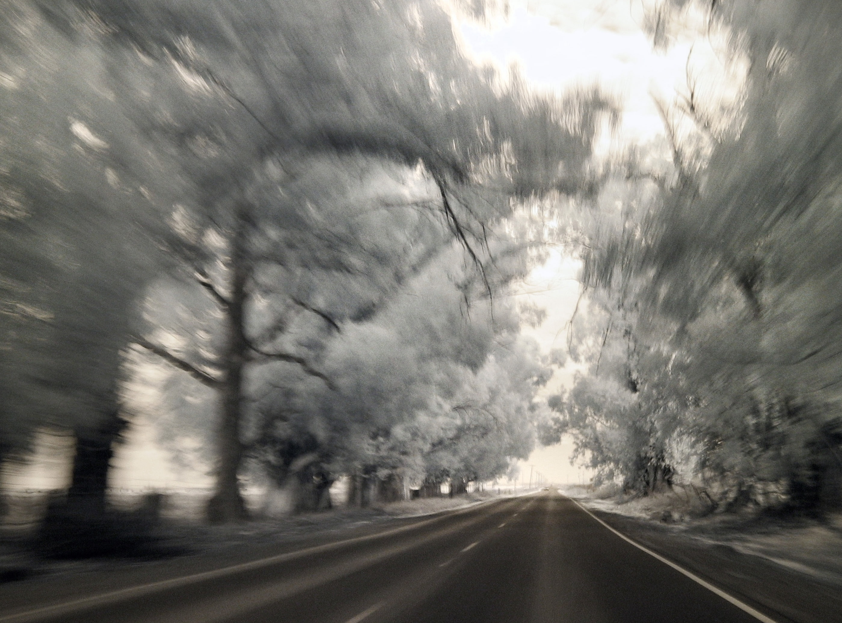 road marking, diminishing perspective, tree, sign, photo, the way forward, Trees, car, vanishing point, Road, plant, car point of view, sky, 2K, outdoors, HD Wallpaper