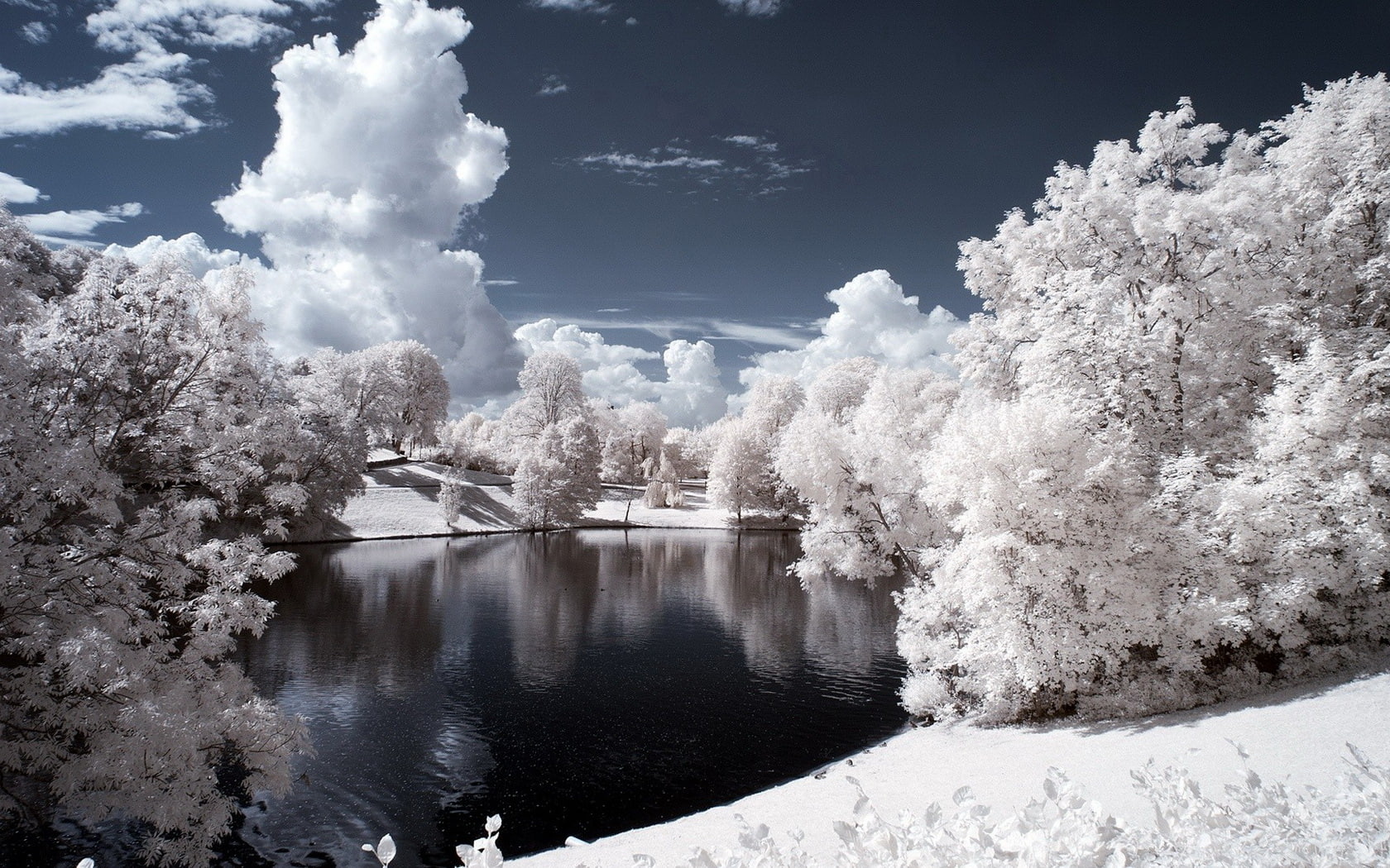 trees, infrared, 720P, lake, landscape, HD Wallpaper