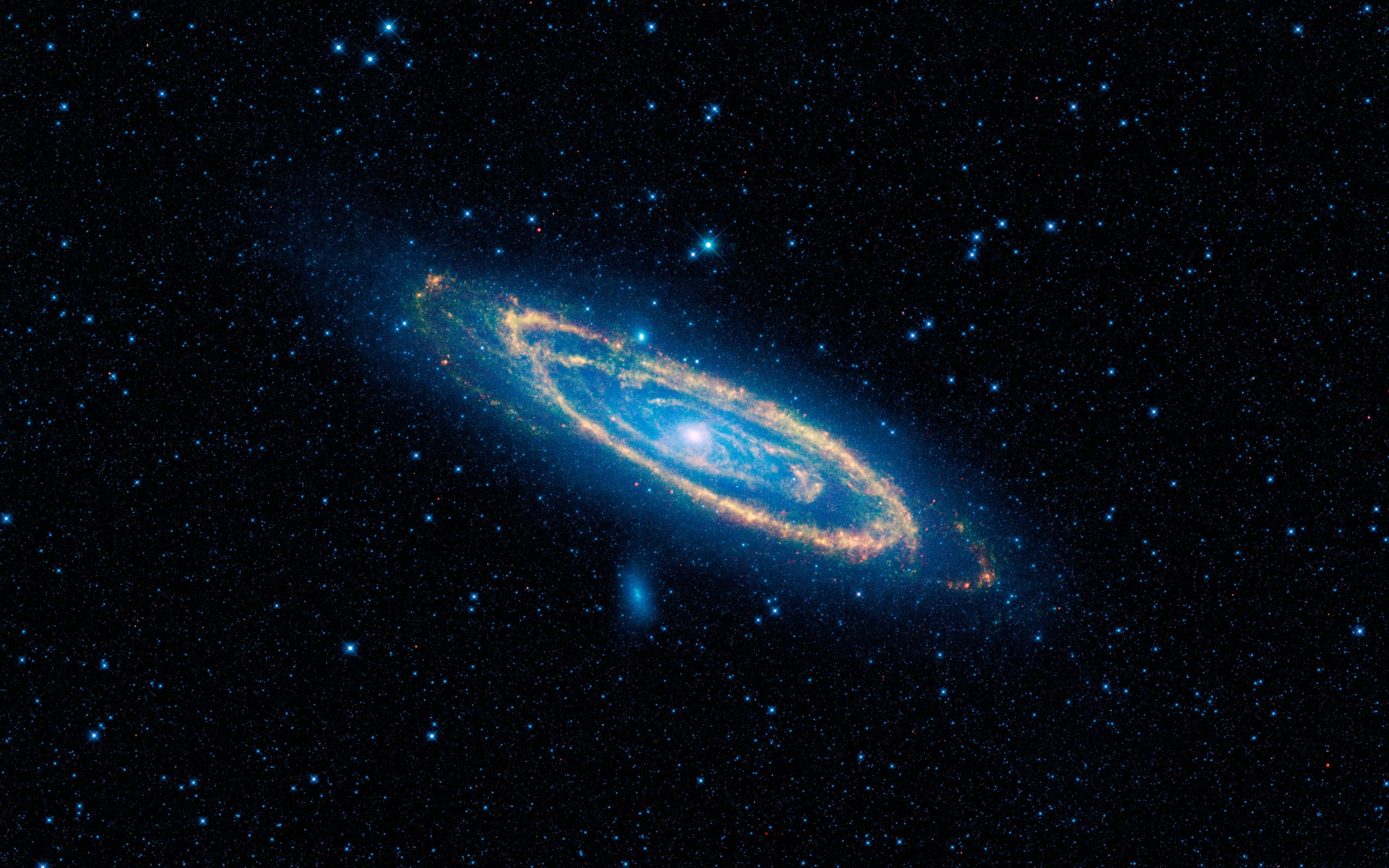 star - space, sea, space, animal, andromeda, animal themes, marine, animal wildlife, sky, beauty in nature, no people, spiral, space exploration, glowing, HD Wallpaper