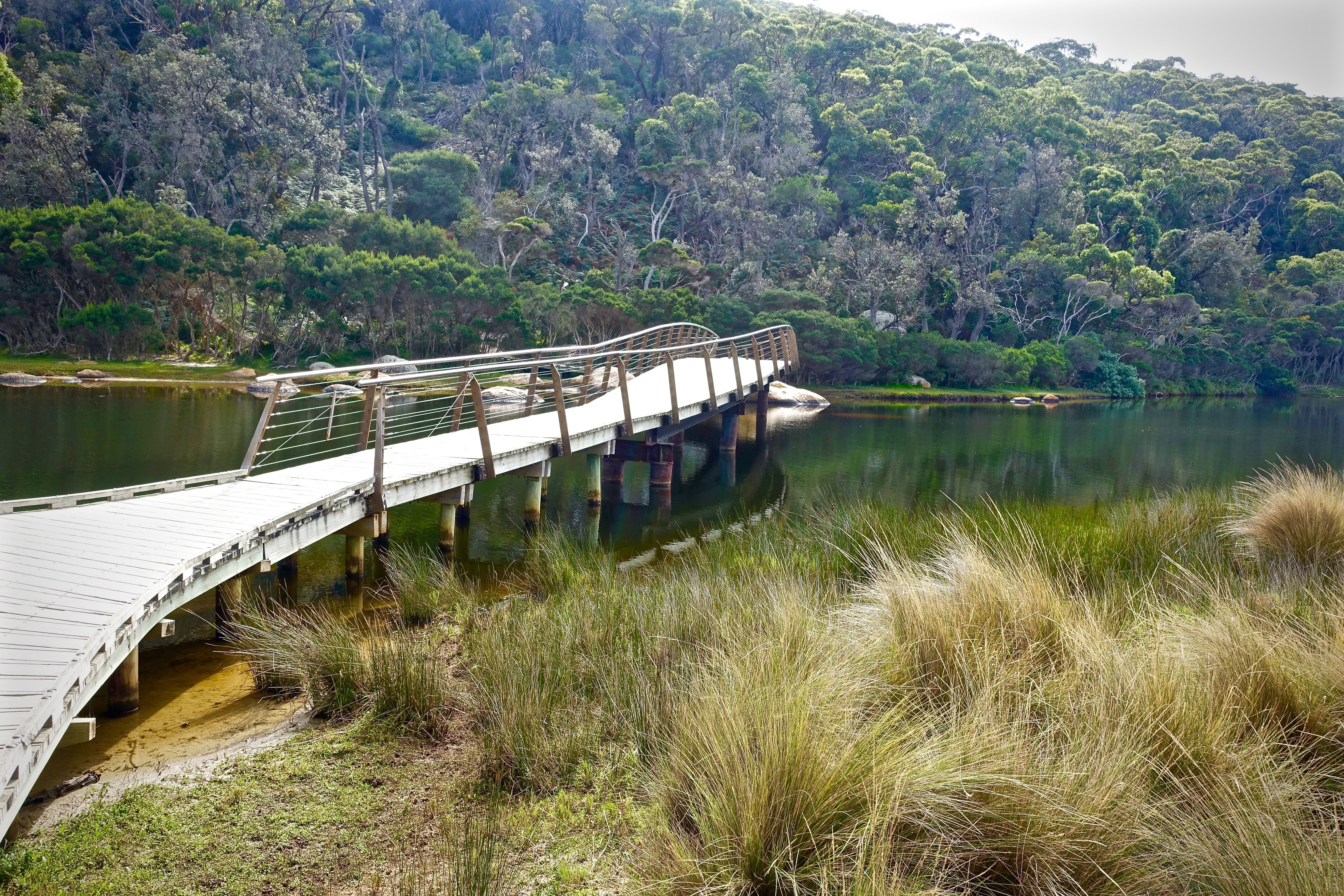 5K, landscape, plant, outdoors, tree, forest, day, beauty in nature, tidal river, transportation, mountain, footbridge, growth, bridge, built structure, HD Wallpaper