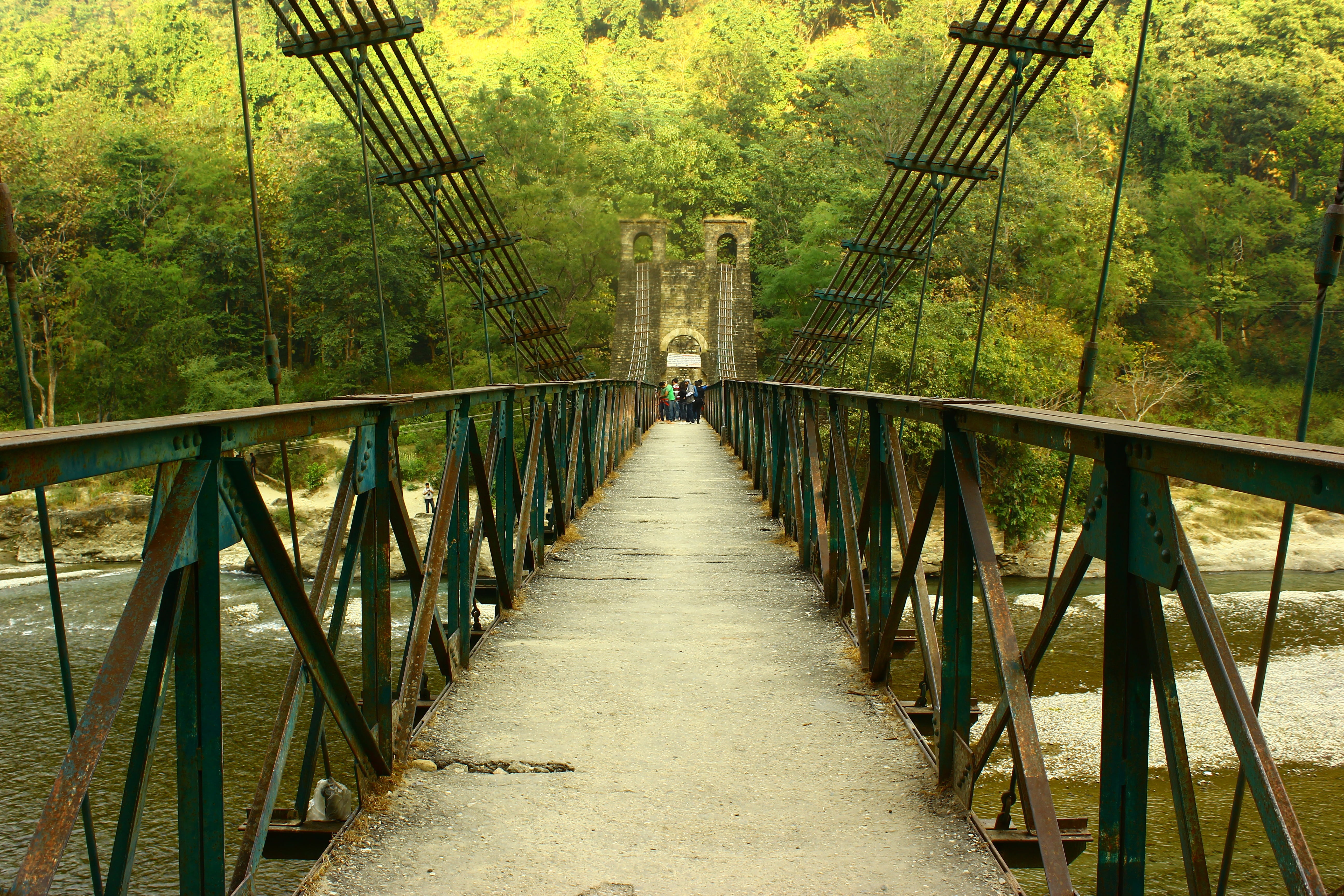 tree, built structure, pedestrian bridge, the way forward, bridge, outdoors, plant, footbridge, suspension bridge, no people, footpath, architecture, day, HD Wallpaper