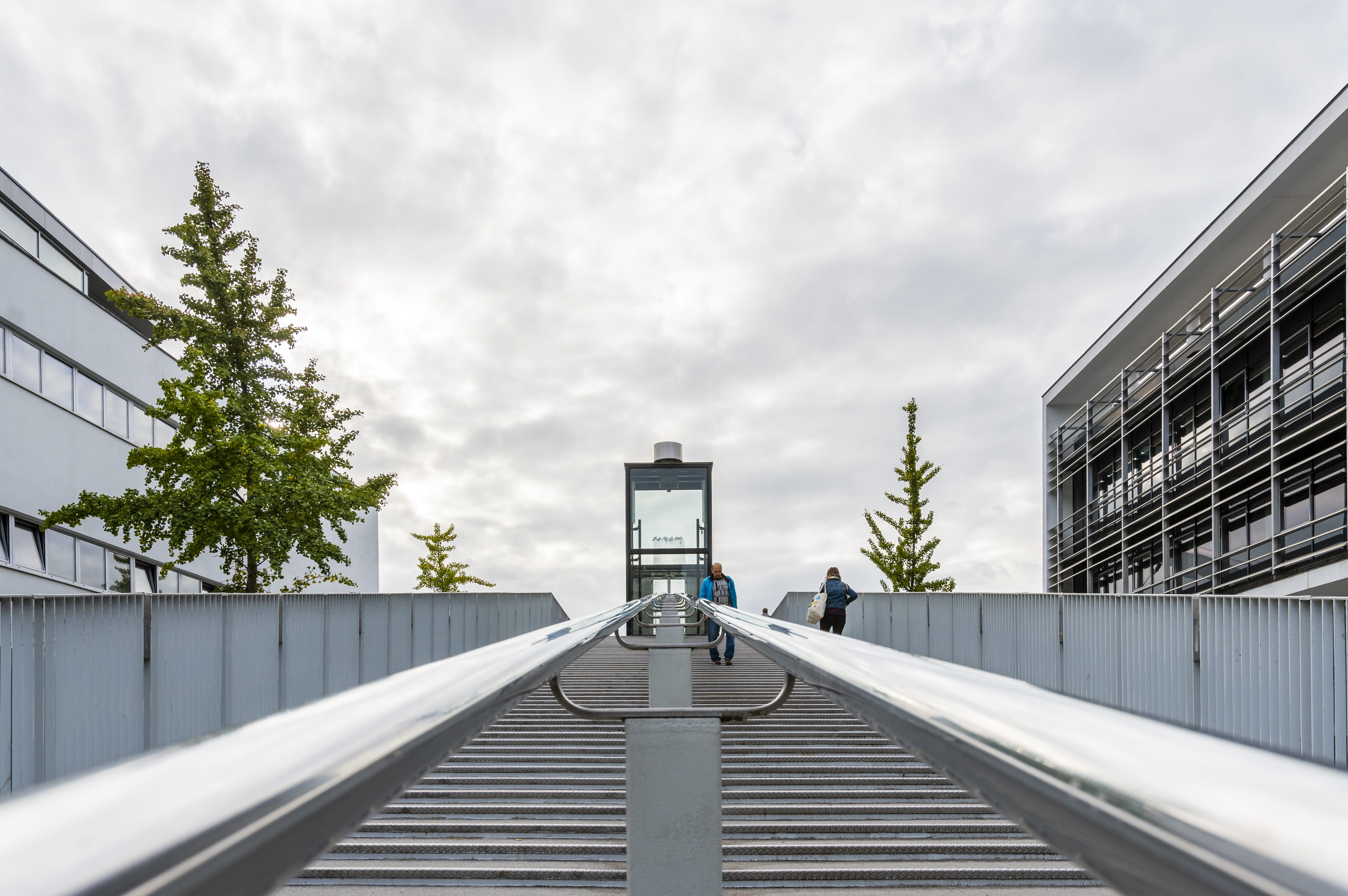 mesh, mode of transportation, railing, tree, city, building, architecture, cloud - sky, 5K, the way forward, day, no people, land vehicle, pedestrian bridge, HD Wallpaper