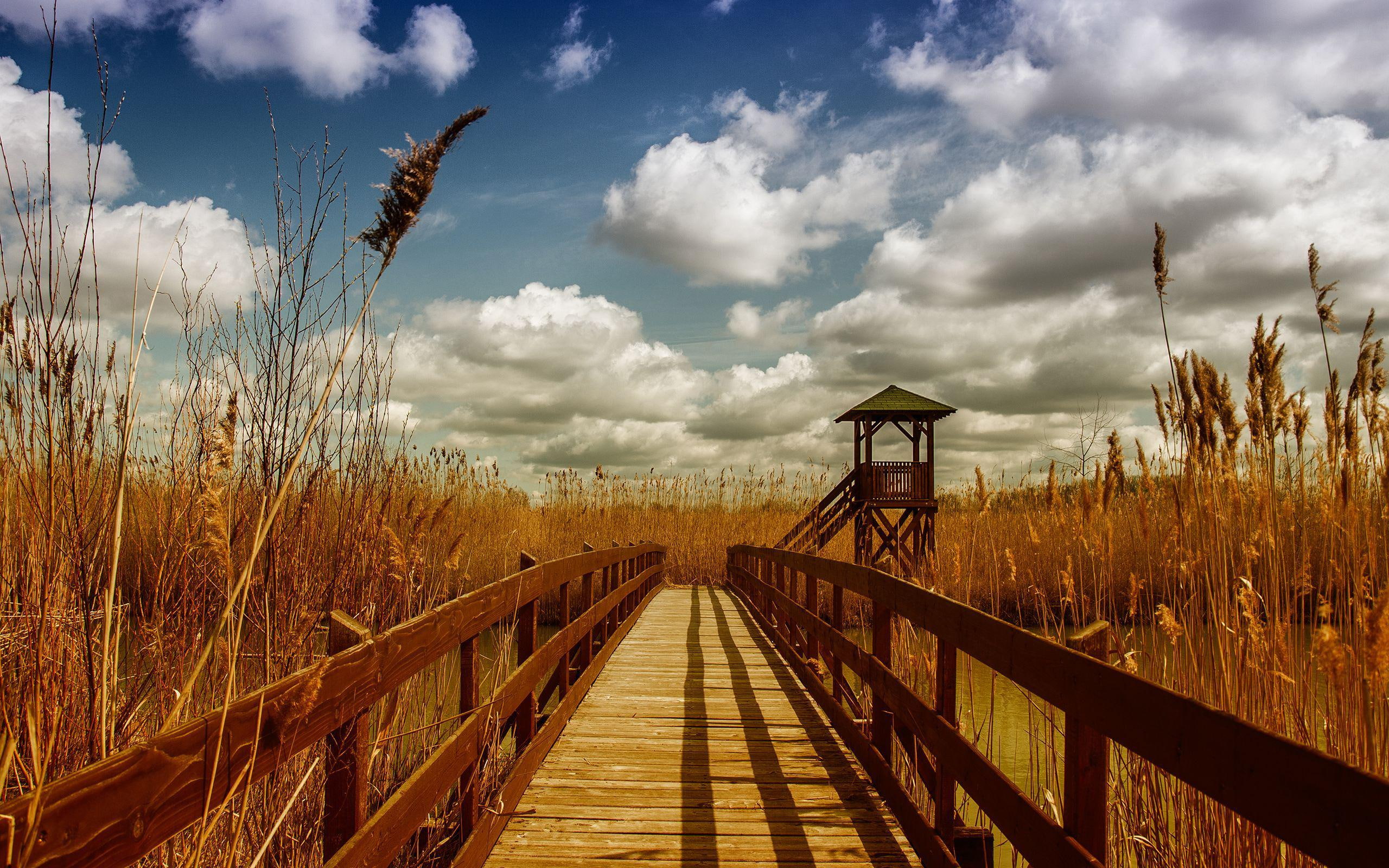 2560x1600, wooden, footbridge, brown, photography, bridge, wood, cloud, 2K, river, HD Wallpaper