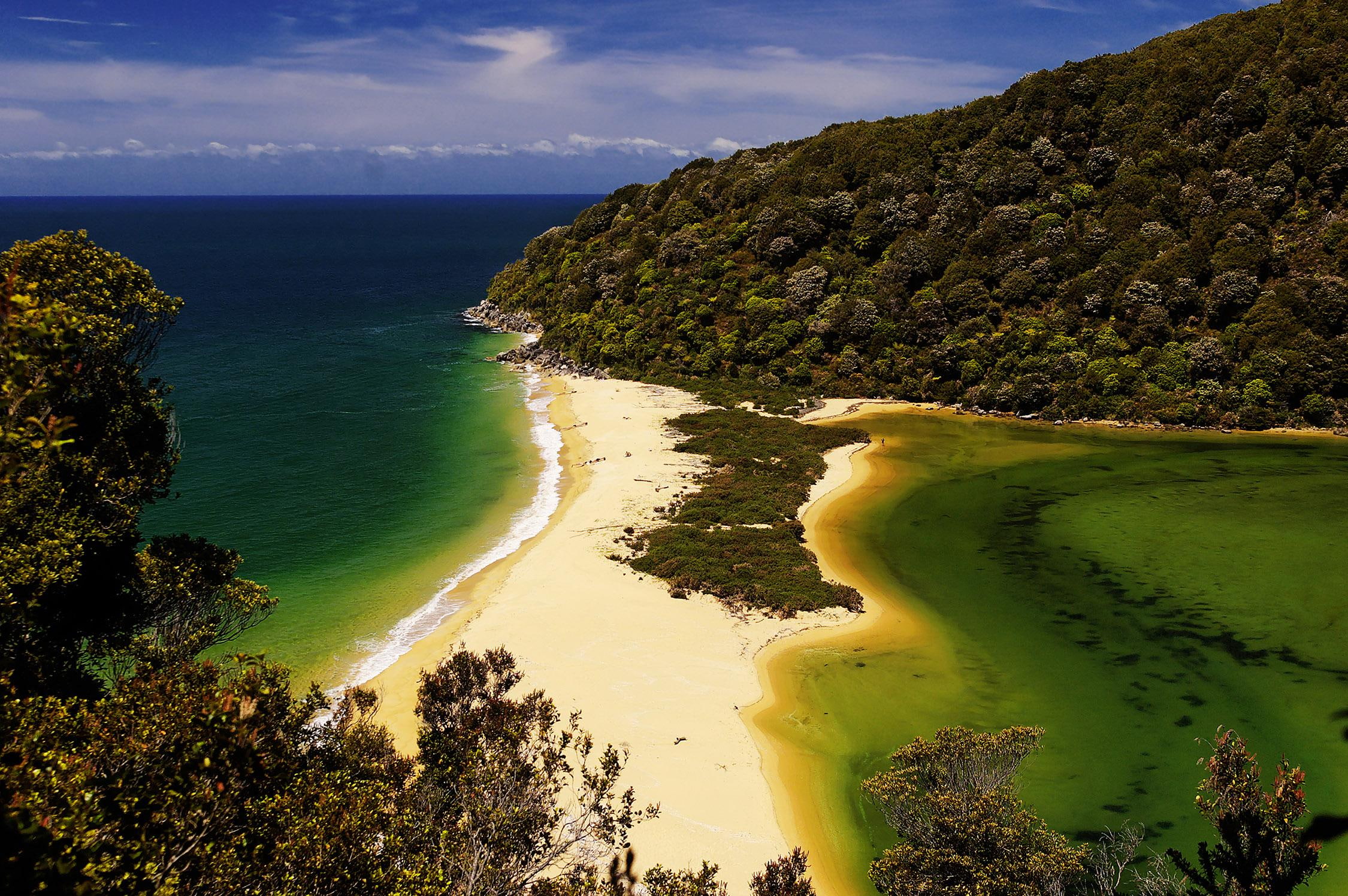 pardise, abel, 3d and abstract, 1080P, ocean, island, tasman, park, beautiful, sand, national, beach, foilage, trees, green water, HD Wallpaper