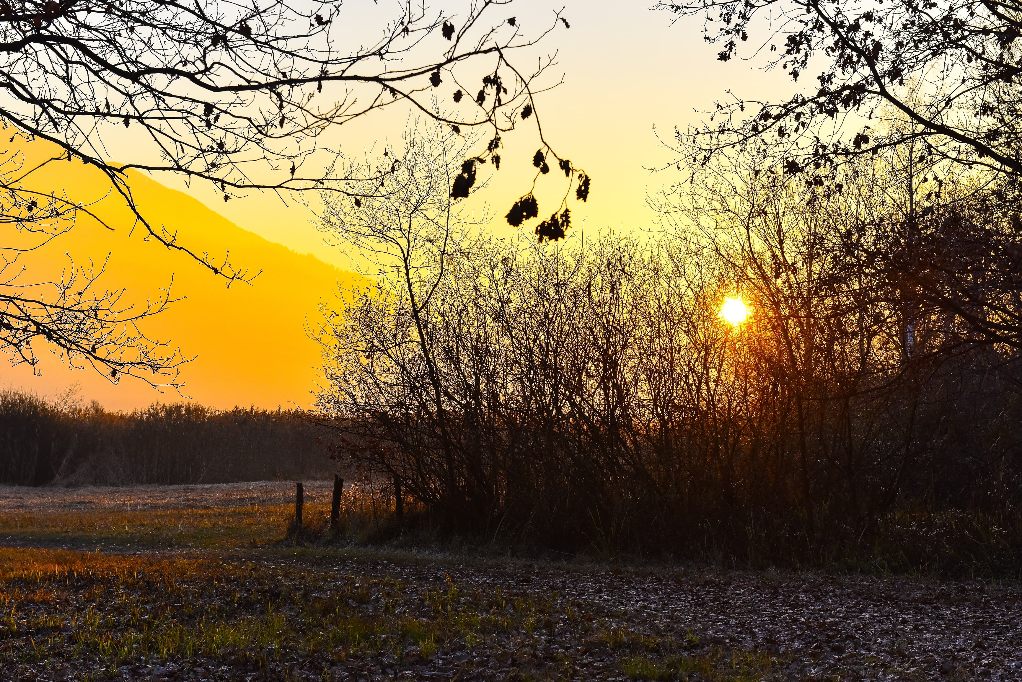 leaf, autumn, landscape, foilage, 2K, tree, fall, leaves, nature, HD Wallpaper