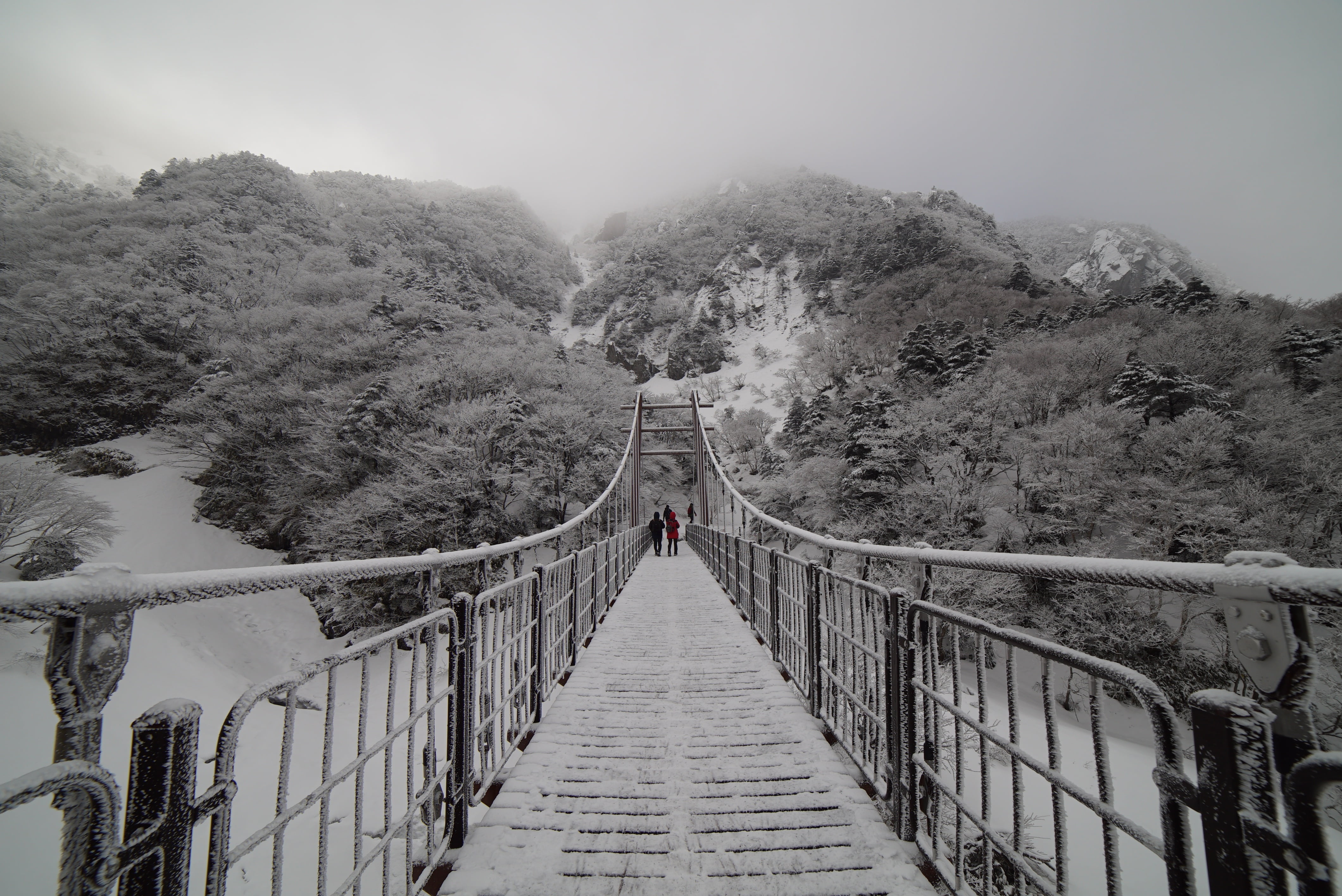 architecture, diminishing perspective, photo, footbridge, halla, lifestyles, outdoors, tree, direction, the way forward, snow, 4K, connection, snow mountain, HD Wallpaper