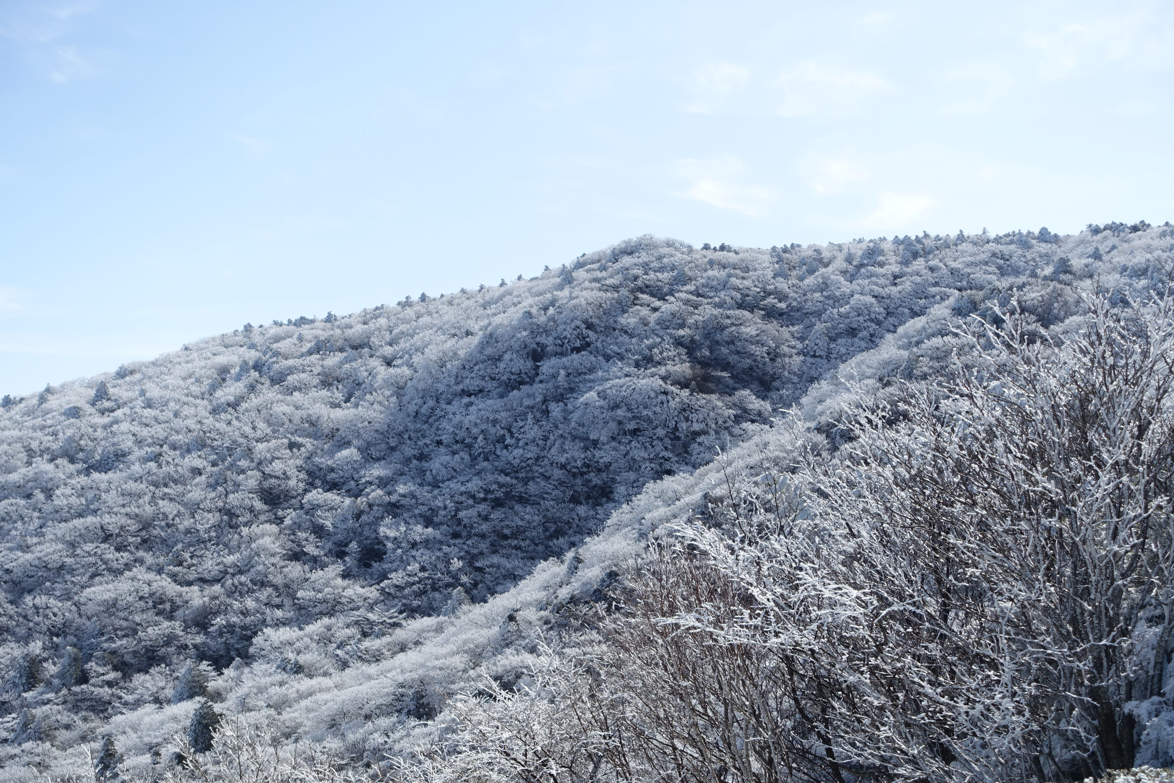 no people, nature, Winter, snow flower, climbing, Halla, day, tranquil scene, land, physical geography, Line Production, mountain, cloud - sky, outdoors, HD Wallpaper