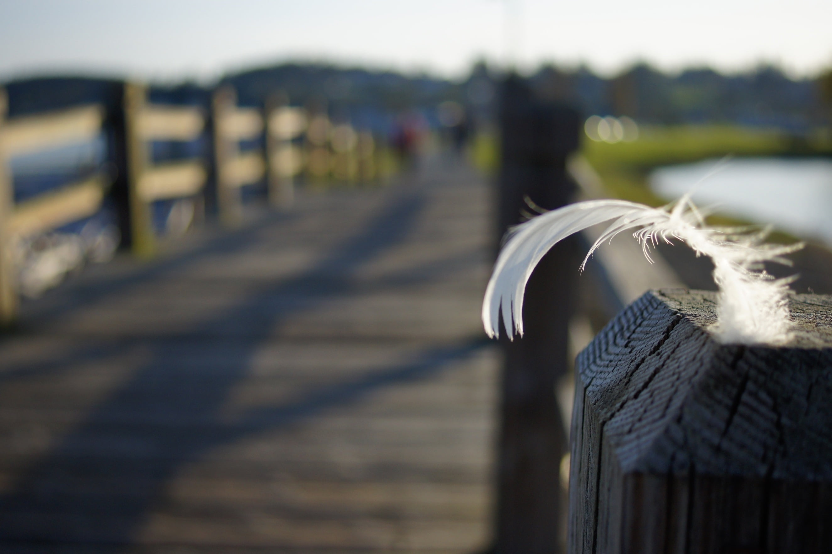 focus on foreground, summer, railing, blue, boundary, street, backgrounds, no People, harbor, architecture, shadows, wood - material, feather, post, bridge, HD Wallpaper