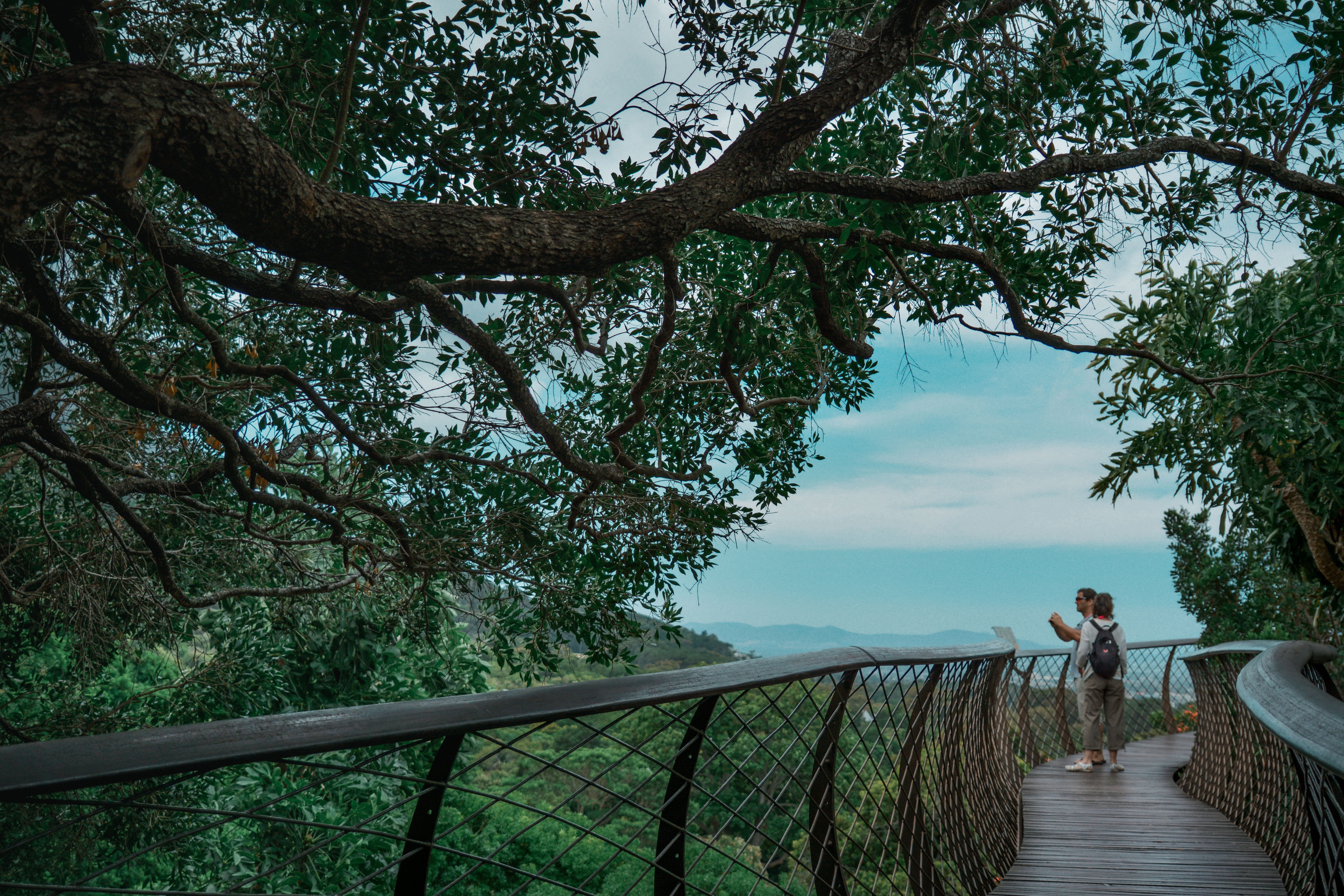 railing, water, outdoors, nature, 5K, plant, lifestyles, tranquil scene, cape town, tree, people, south africa, beauty in nature, holiday, real people, HD Wallpaper