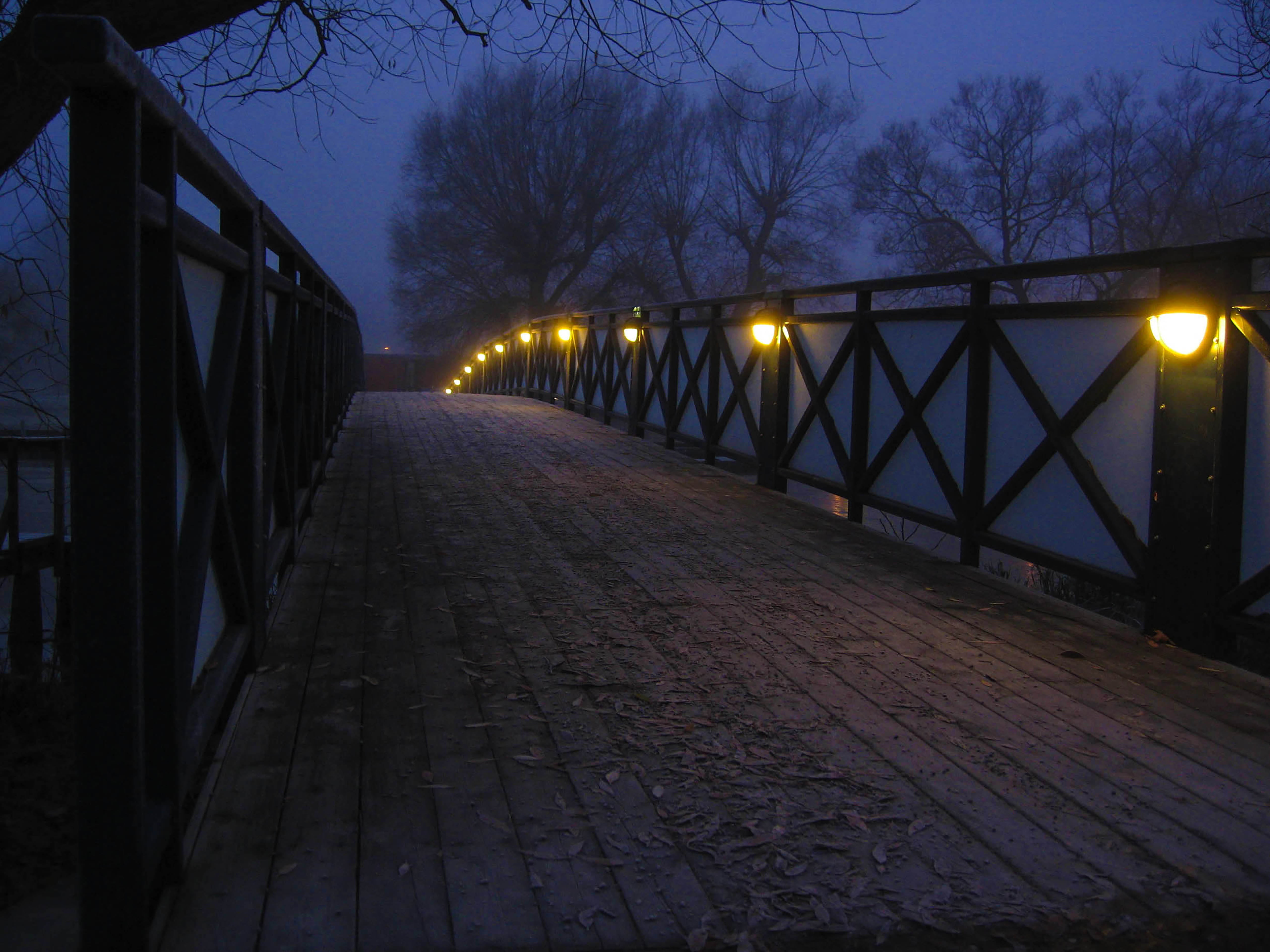 direction, bridge - Man Made Structure, footbridge, architecture, autumn, the way forward, dusk, himmel, built structure, tree, paving stone, bro, night, HD Wallpaper