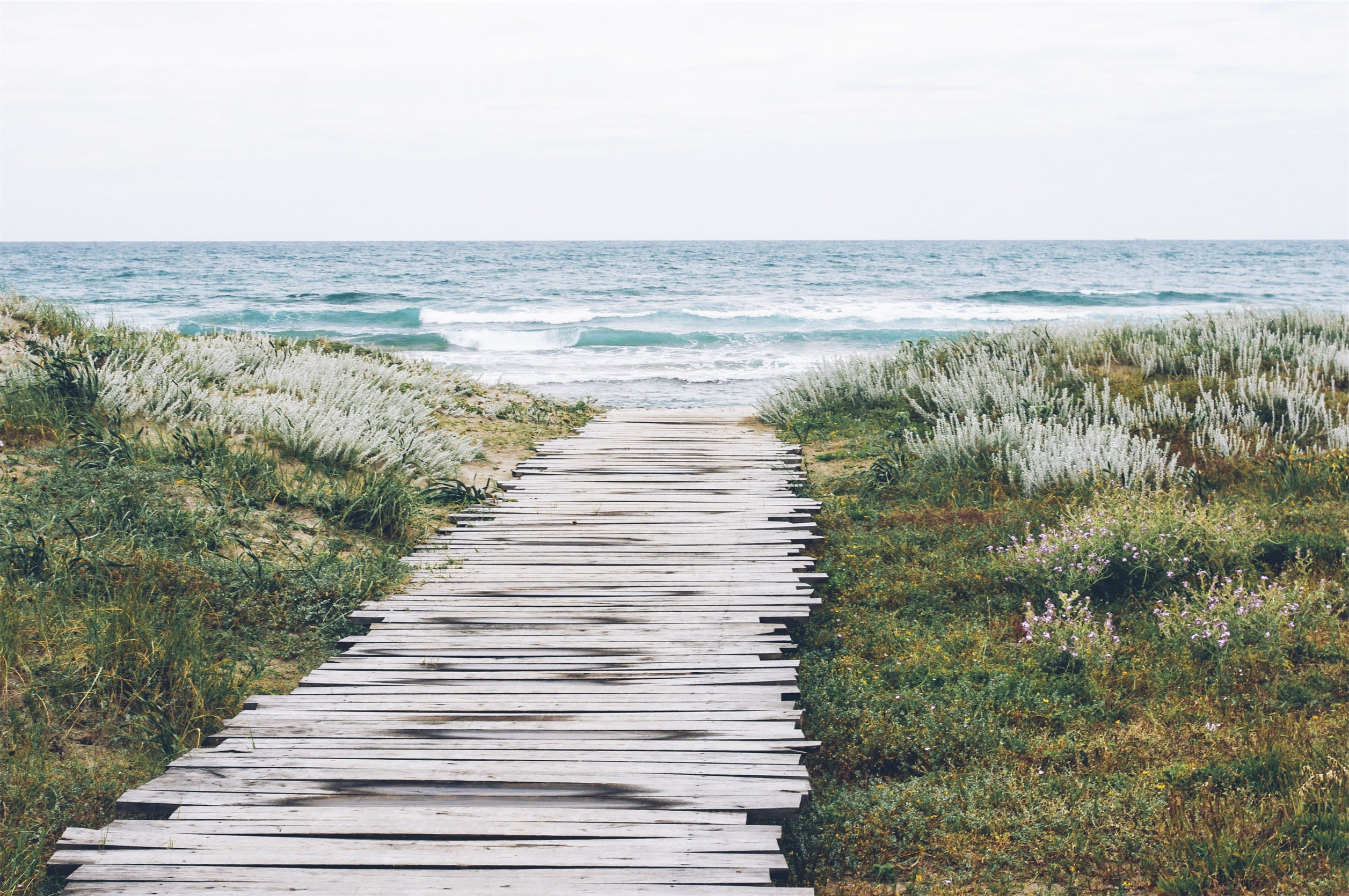 near, land, horizon, photo, direction, outdoors, jetty, sea, no people, path, grass, footpath, day, body, 1080P, pier, walkway, landscape, wood, wooden, HD Wallpaper