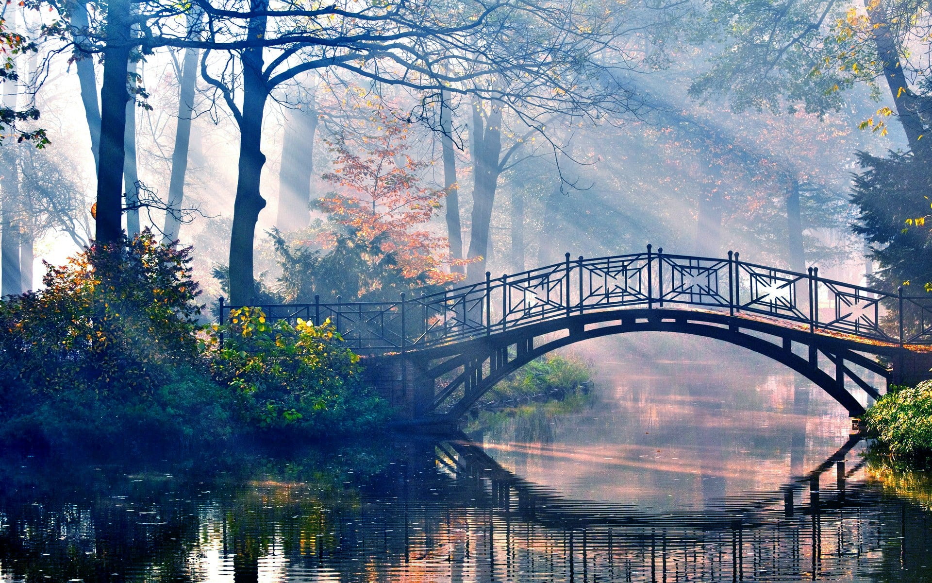 built structure, no people, forest, architecture, arch bridge, beauty in nature, footbridge, 1080P, fog, waterfront, connection, water, bridge, day, nature, HD Wallpaper
