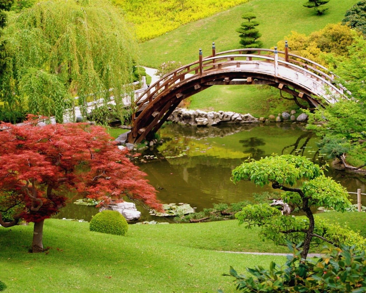 flower, arch bridge, bridge - man made structure, nature, day, plant, tranquility, water, connection, wooden, footbridge, no people, arch, built structure, HD Wallpaper