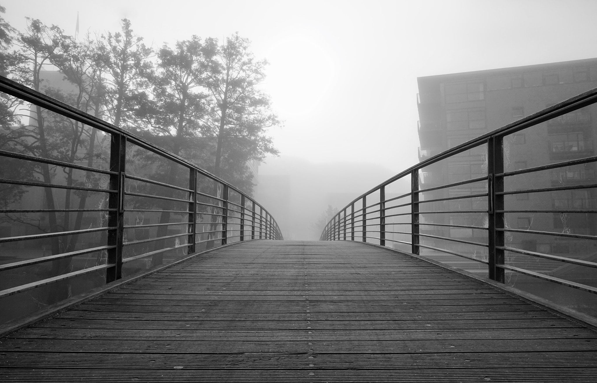 500px, nature, monochrome, bridge - man made structure, the way forward, sky, 1080P, railing, footpath, built structure, no people, architecture, day, HD Wallpaper