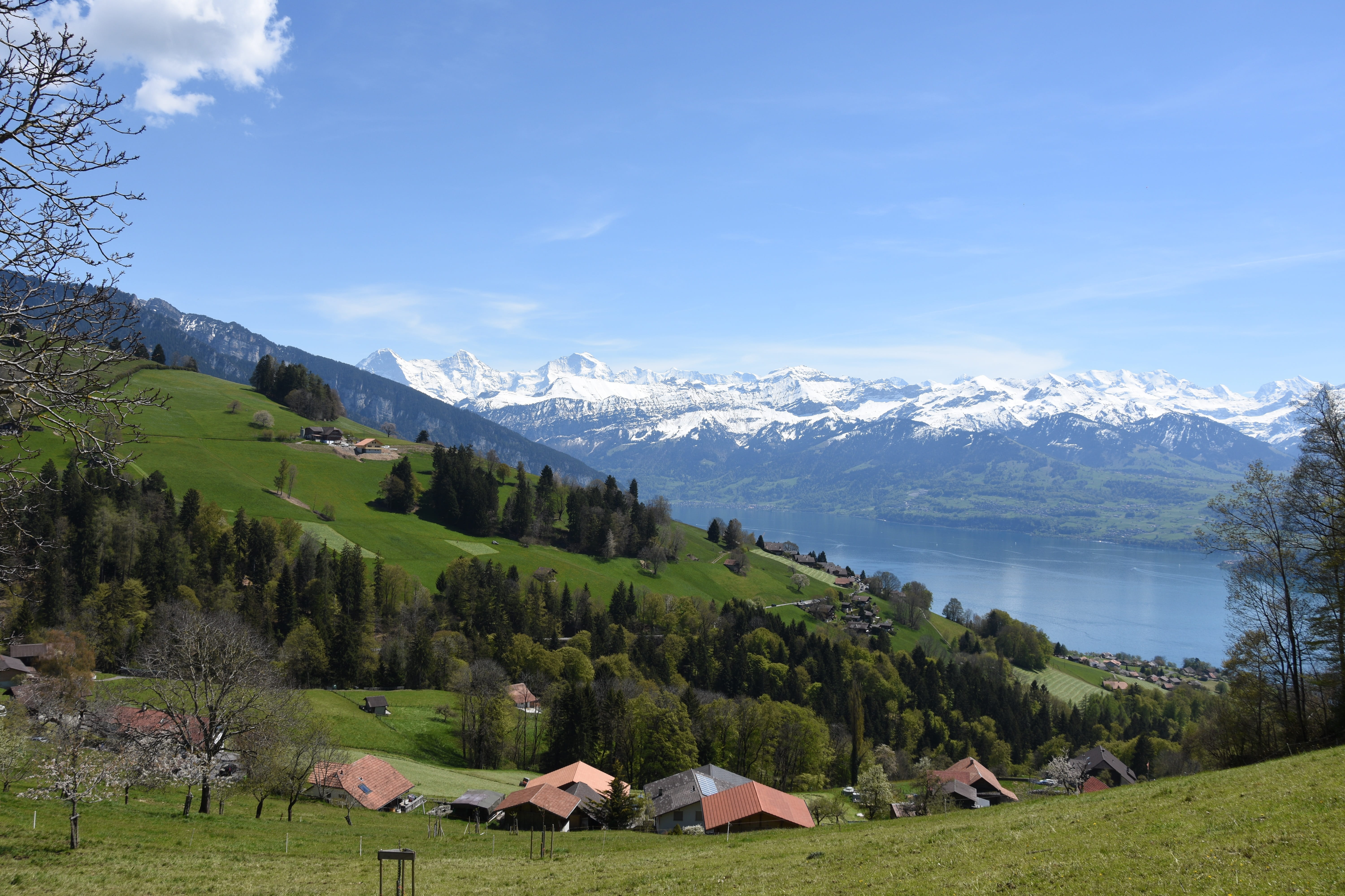 sky, plant, distant view, tree, Switzerland, scenics - nature, building, scenics, building exterior, Lake Thun, green color, built structure, house, landscape, HD Wallpaper