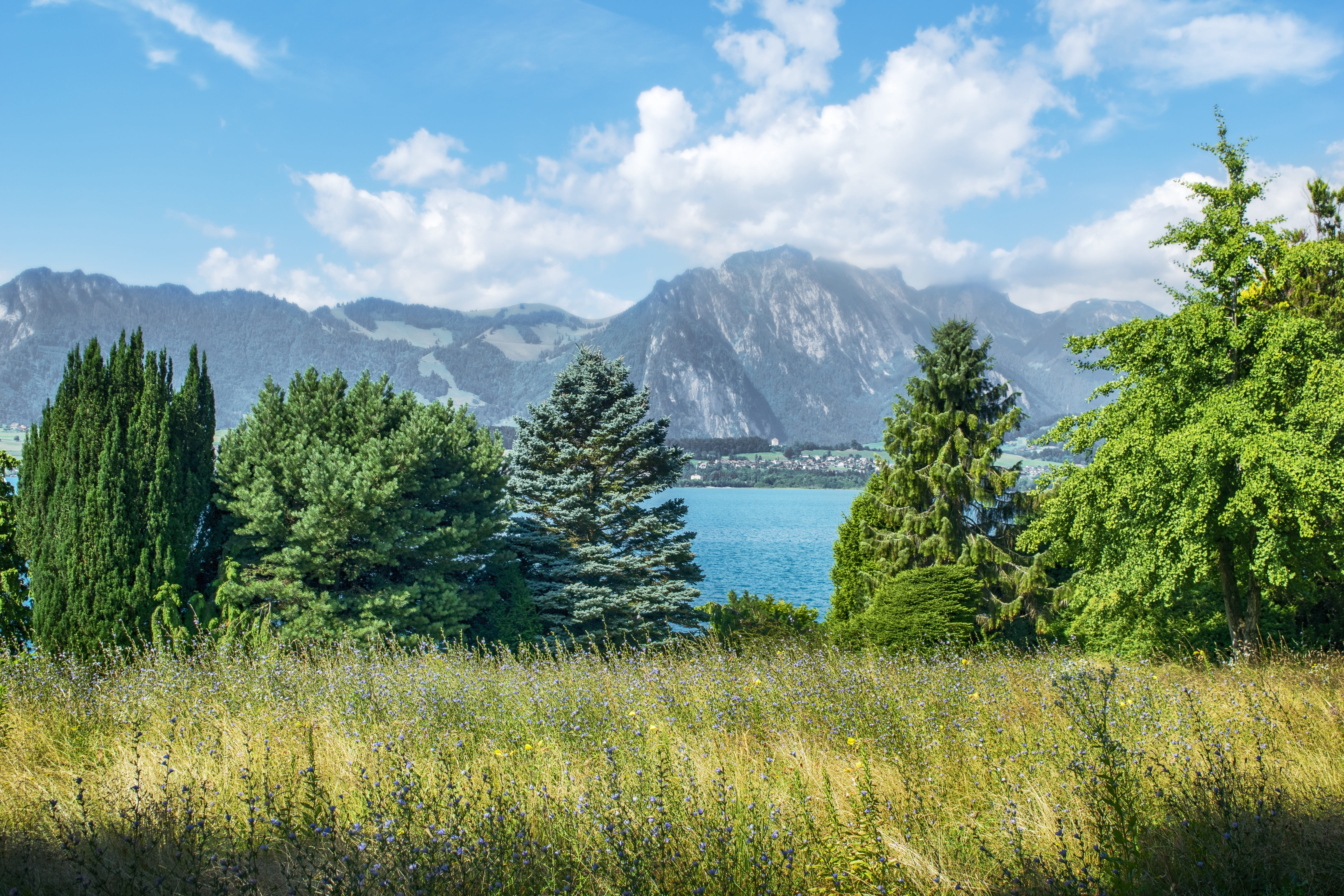 plant, mountain range, green color, water, non-urban scene, idyllic, growth, 5K, tranquil scene, no people, tranquility, cloud - sky, mountains, scenics - nature, HD Wallpaper