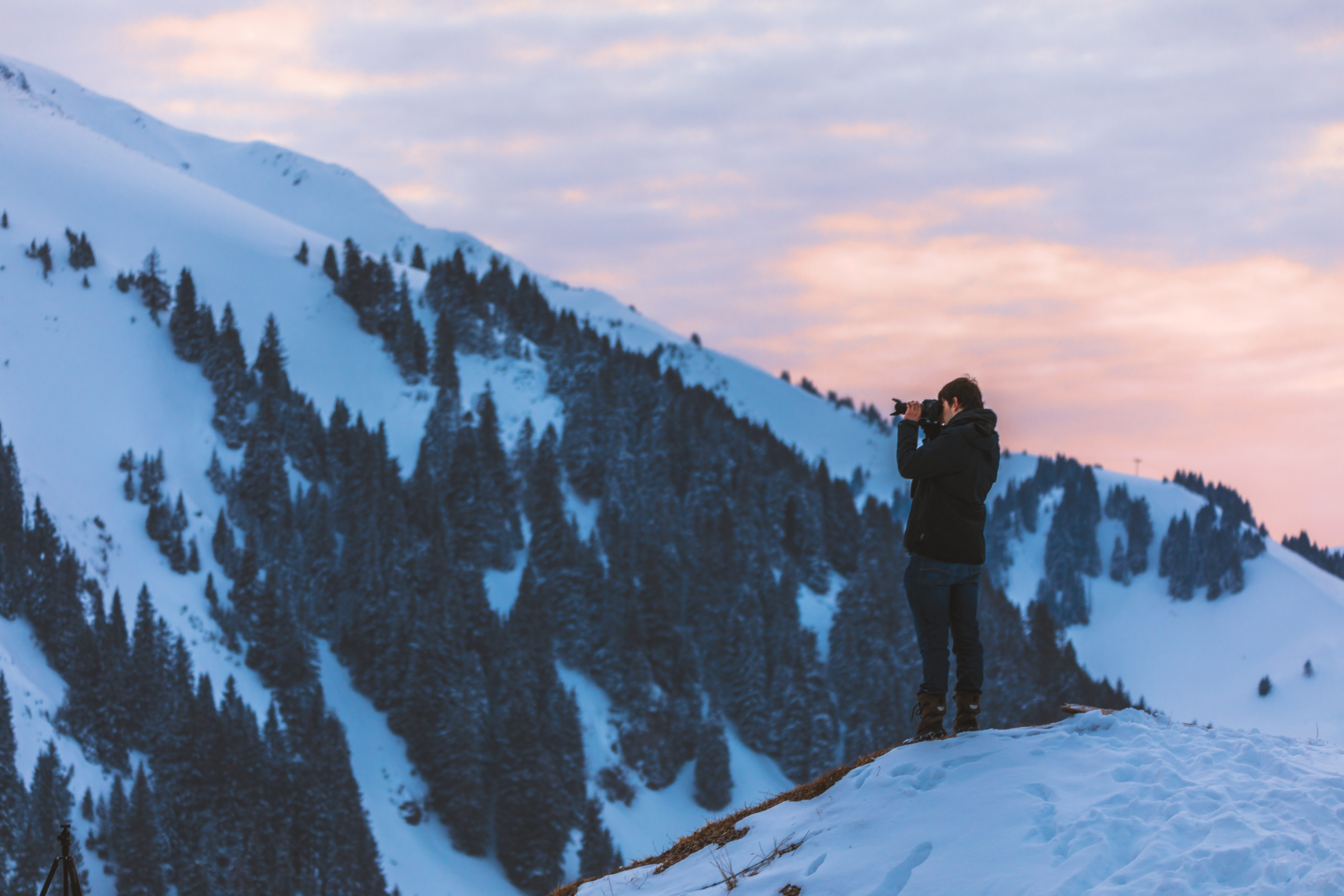 scenics - nature, outdoors, switzerland, adventure, cold, branches, mountain peak, one person, real people, snowcapped mountain, different ways, wintry, HD Wallpaper
