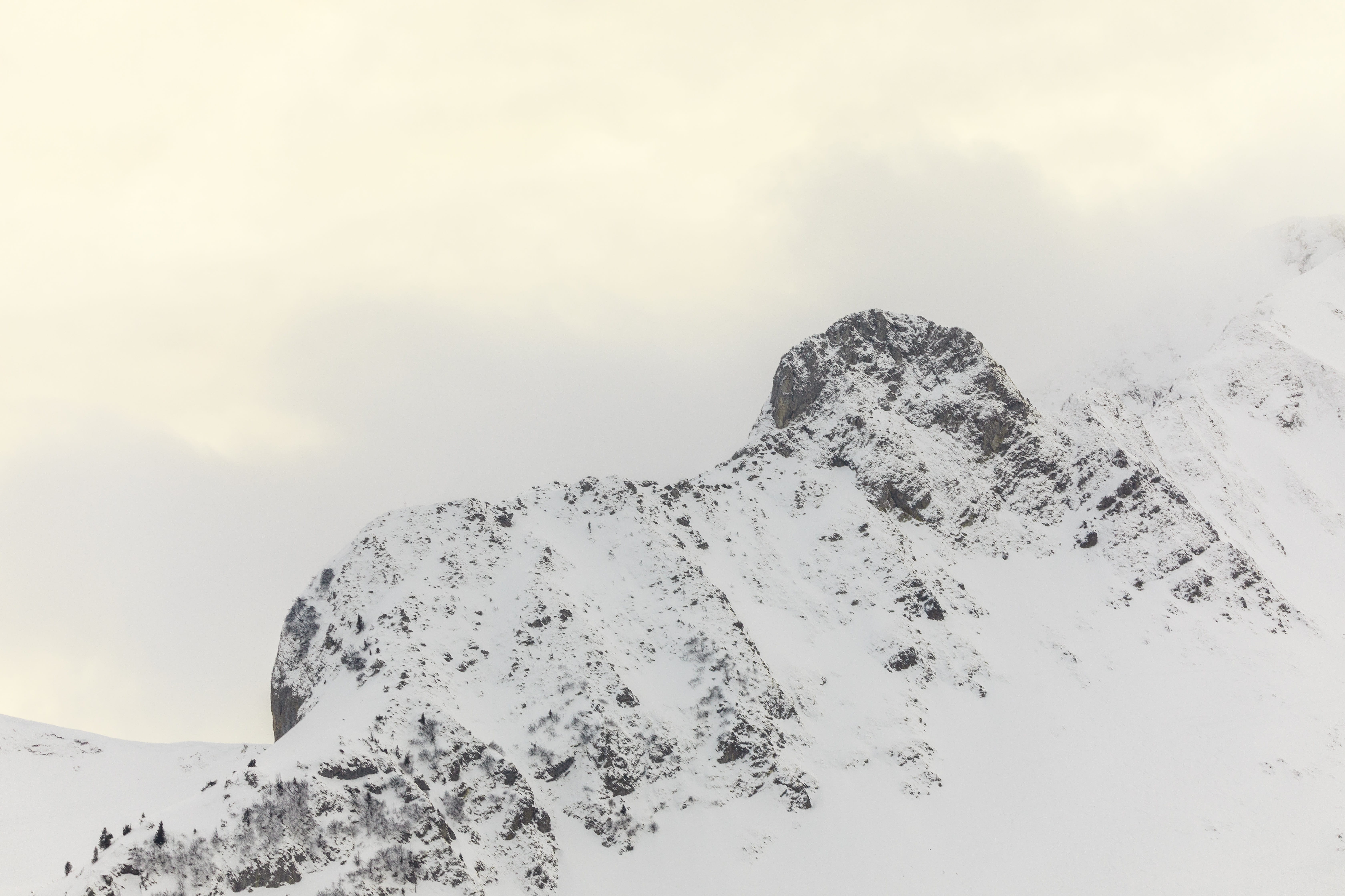 tranquility, different ways, outdoors, covering, branches, wintry, snowcapped mountain, scenics - nature, eiskristalle, non-urban scene, day, white, environment, HD Wallpaper