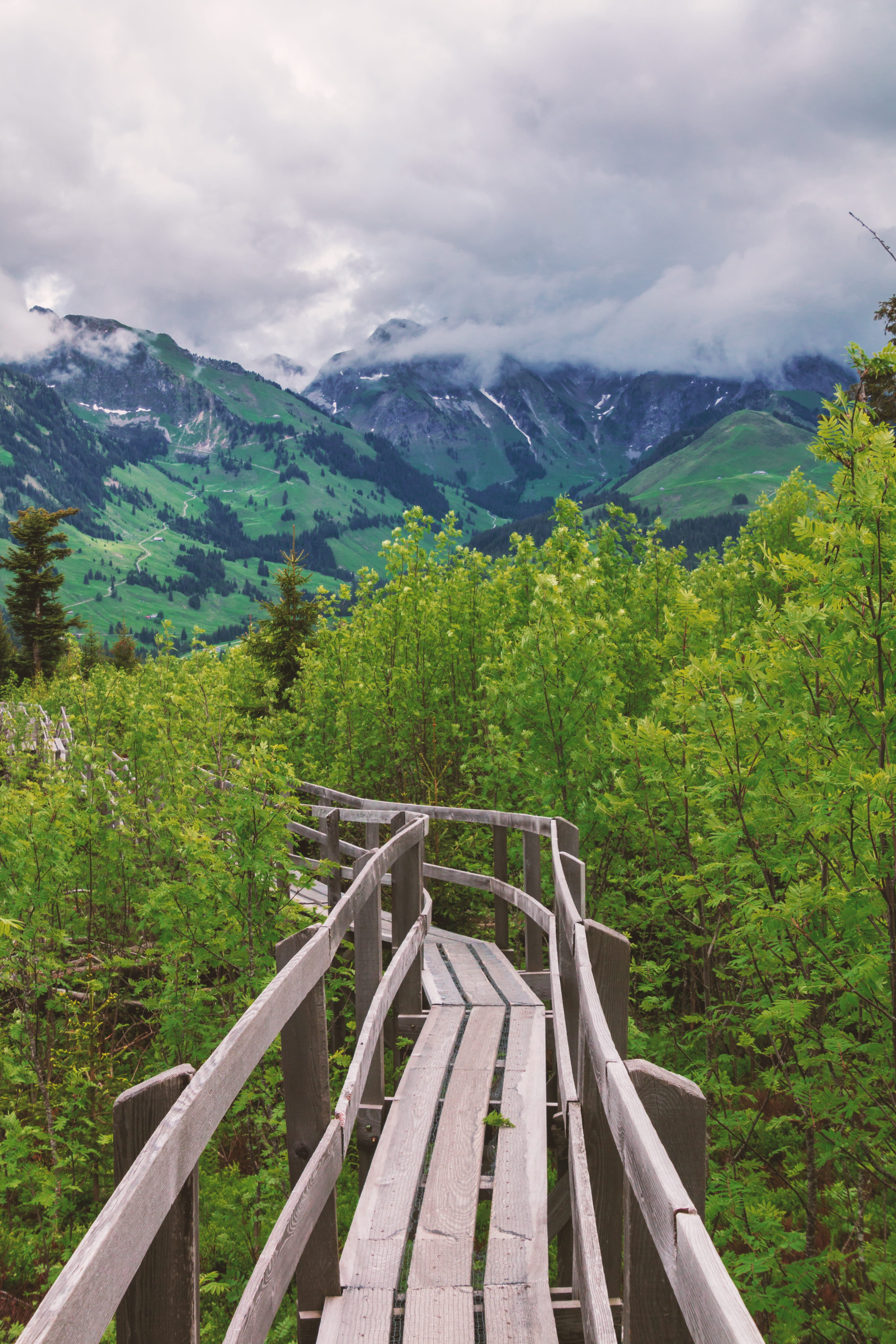 deserted, beauty in nature, Nature, cloud - sky, Mountains, trees, green color, gantrisch, wood - material, scenics - nature, passing, Bridge, gloomy, hiking, Phone HD Wallpaper