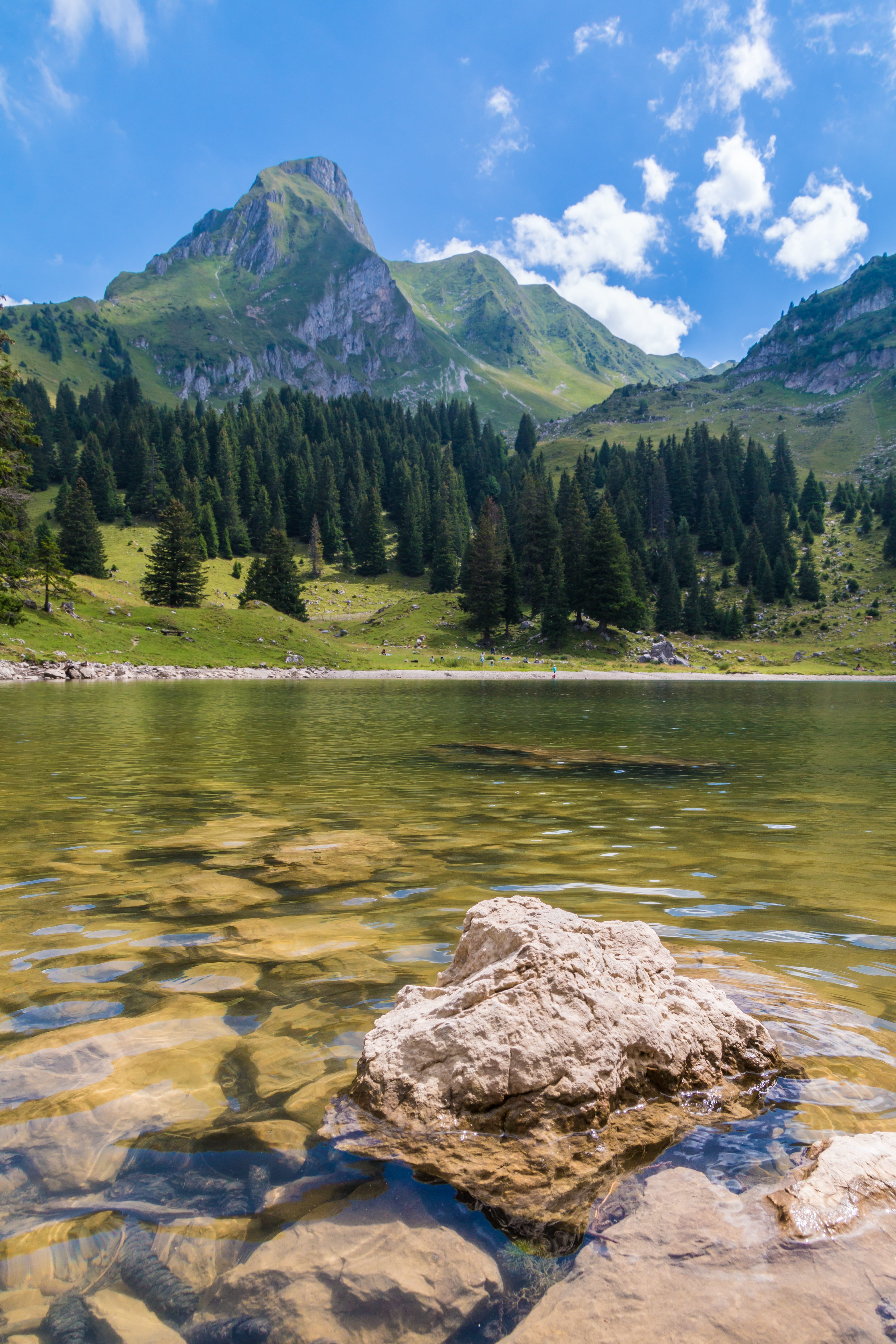 photo, green color, mountain world, mountain, bern, rock - object, tree, bergsee, day, nature, solid, 5K, lake, switzerland, rock, body, hiking, tranquil scene, Phone HD Wallpaper