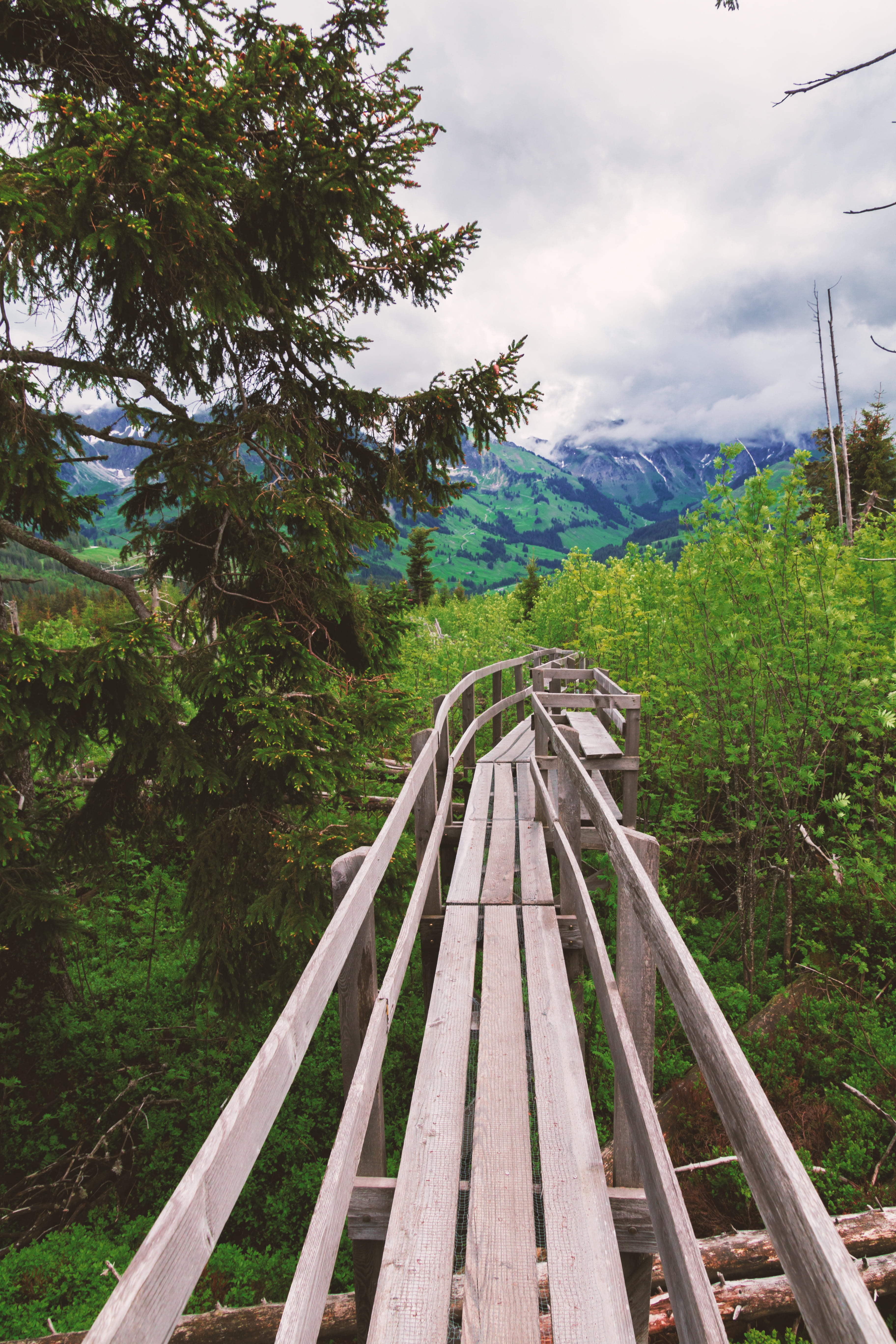 away, dark clouds, framed, mystical, forest, mountain, clouds, forest path, forward, cloud - sky, wood, boardwalk, deserted, growth, alone, thunderstorm, Phone HD Wallpaper