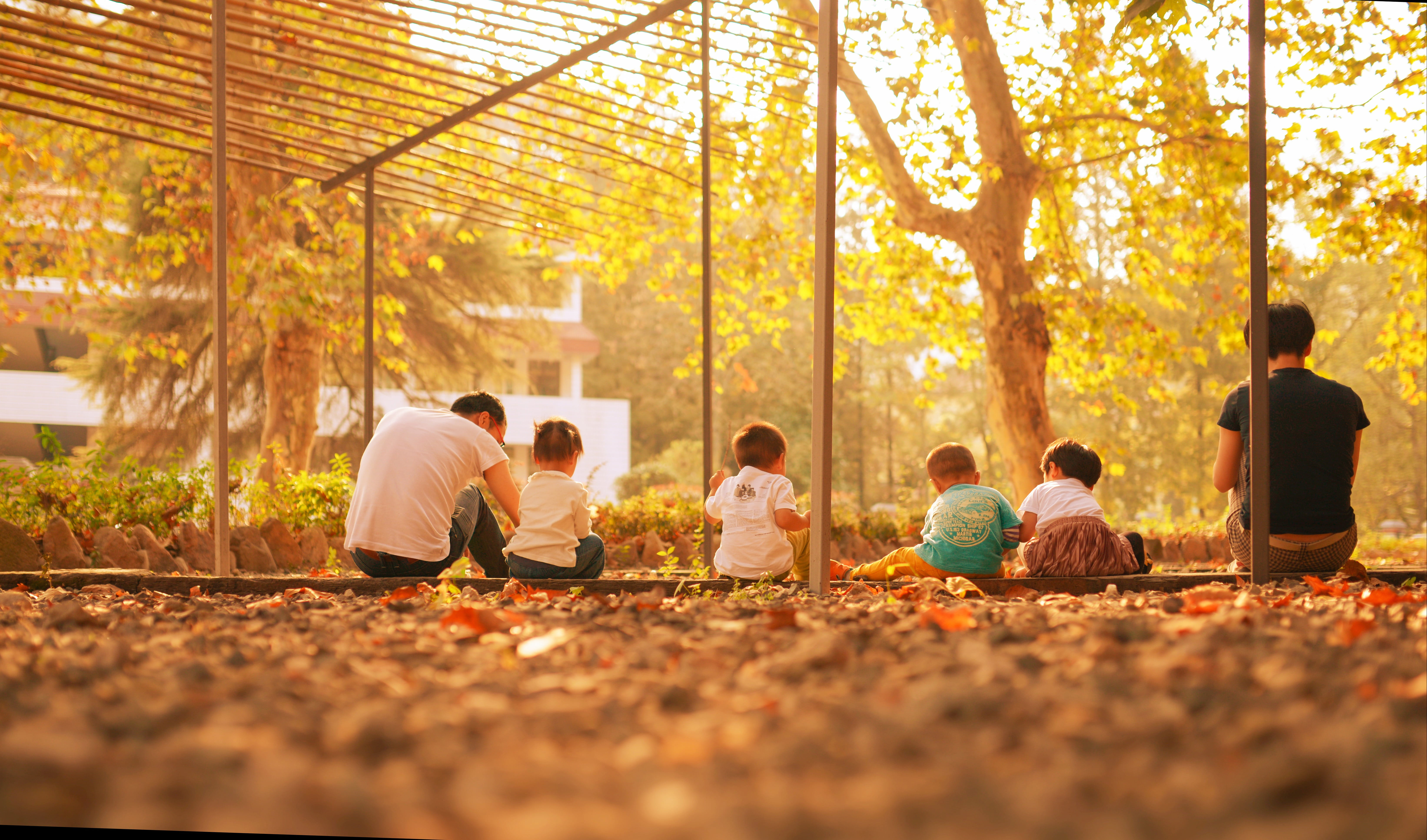 forest, group of people, plant, mo dry foothills of the, sitting, medium group of people, autumn, 5K, tree, kids, young adult, friendship, togetherness, HD Wallpaper
