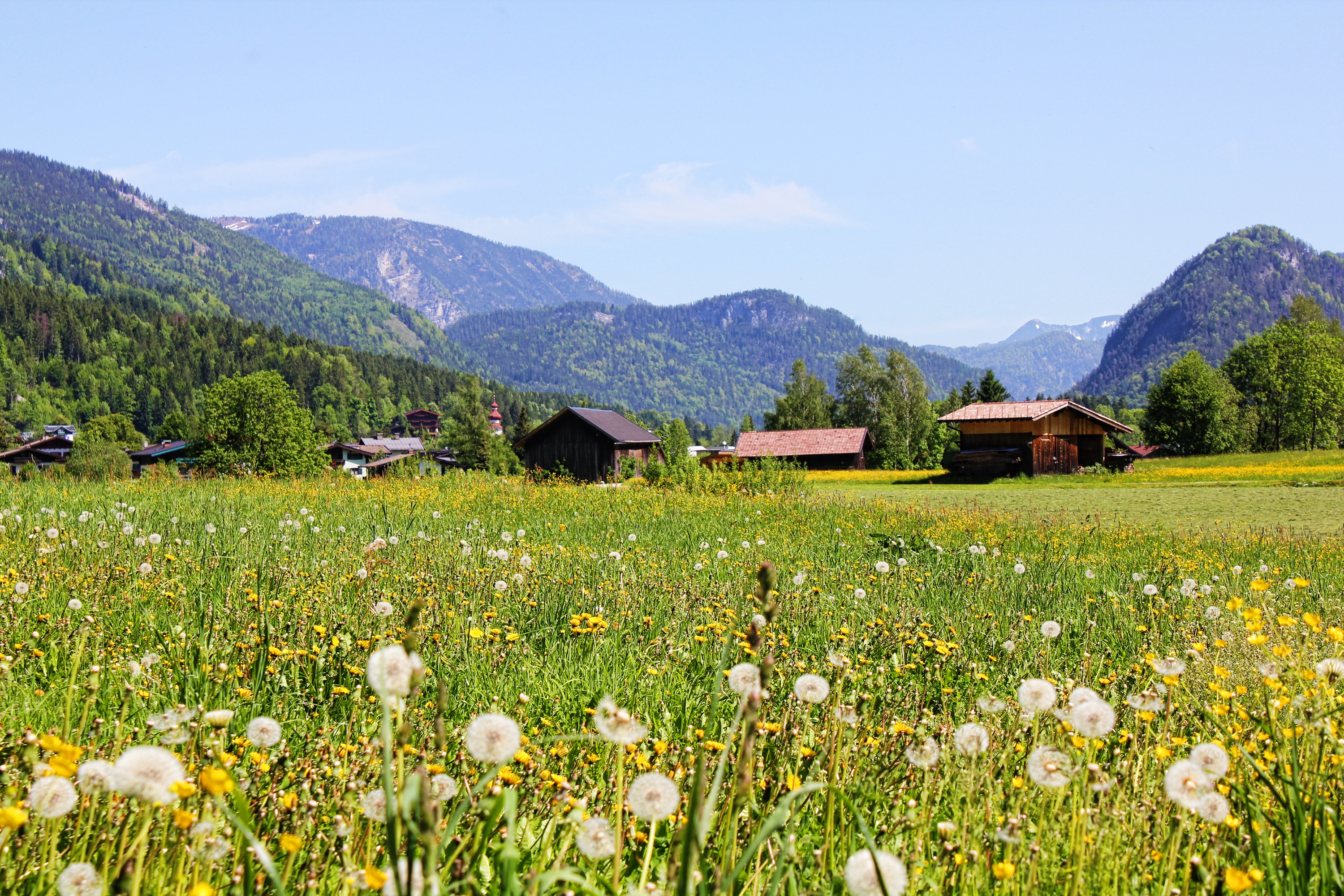 day, green color, meadow, flowering plant, scenics - nature, mountain, lofer, sky, relax, landscape, no people, field, mountain range, plant, 2K, panorama, HD Wallpaper