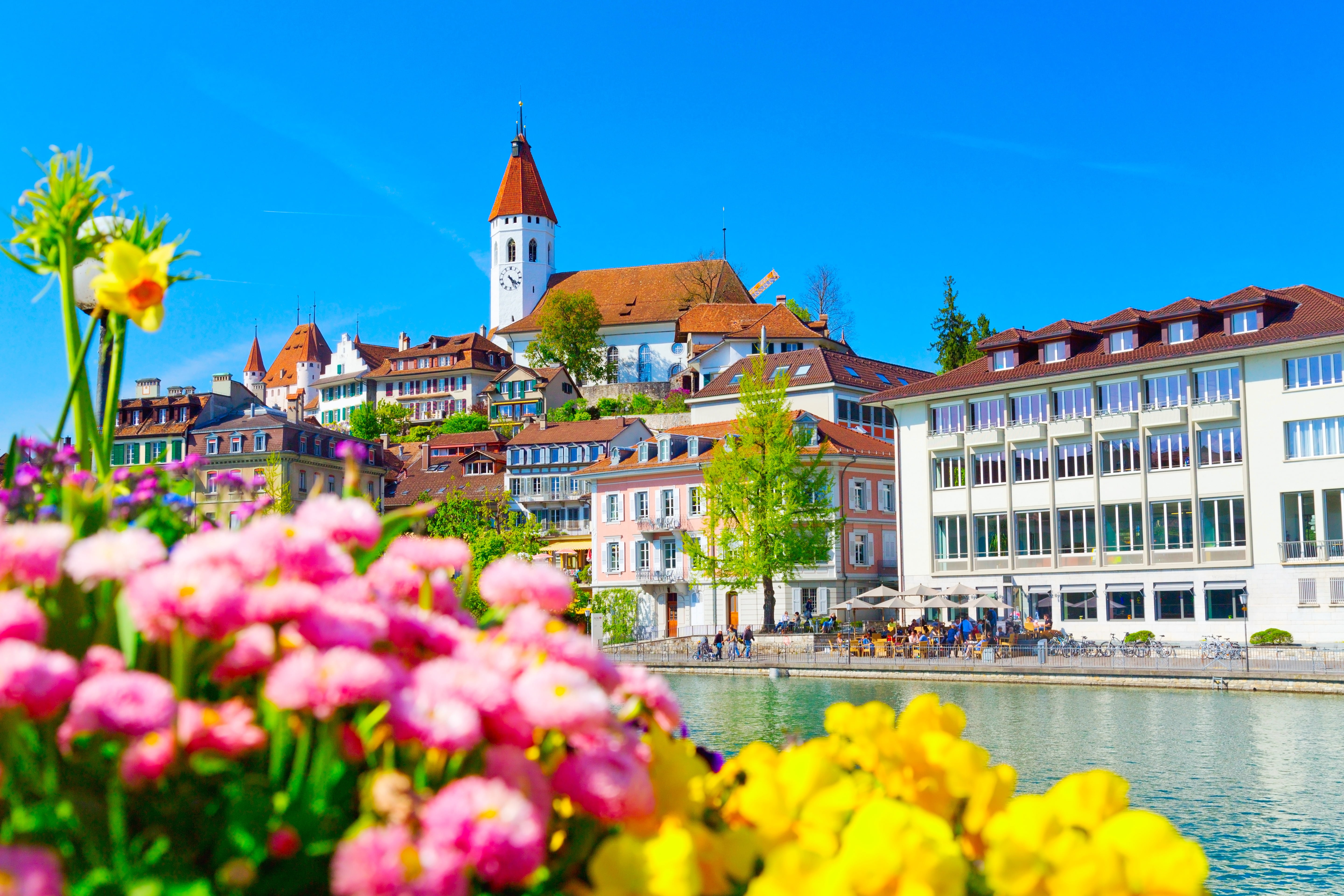 river, promenade, Thun, flowers, 5K, Tun, Aare River, home, Switzerland, building, HD Wallpaper