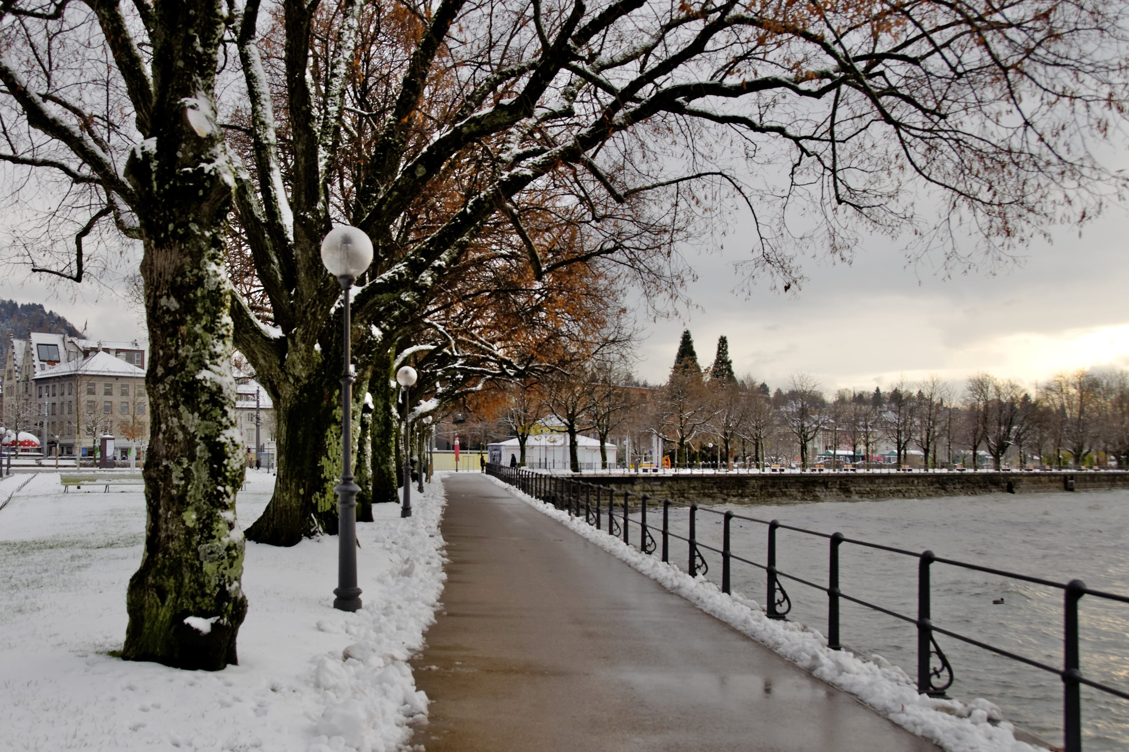 sky, no people, winter at lake constance, port, the way forward, branch, snow, Lake Constance, pier, nature, plant, Winter, water, architecture, Bregenz, HD Wallpaper