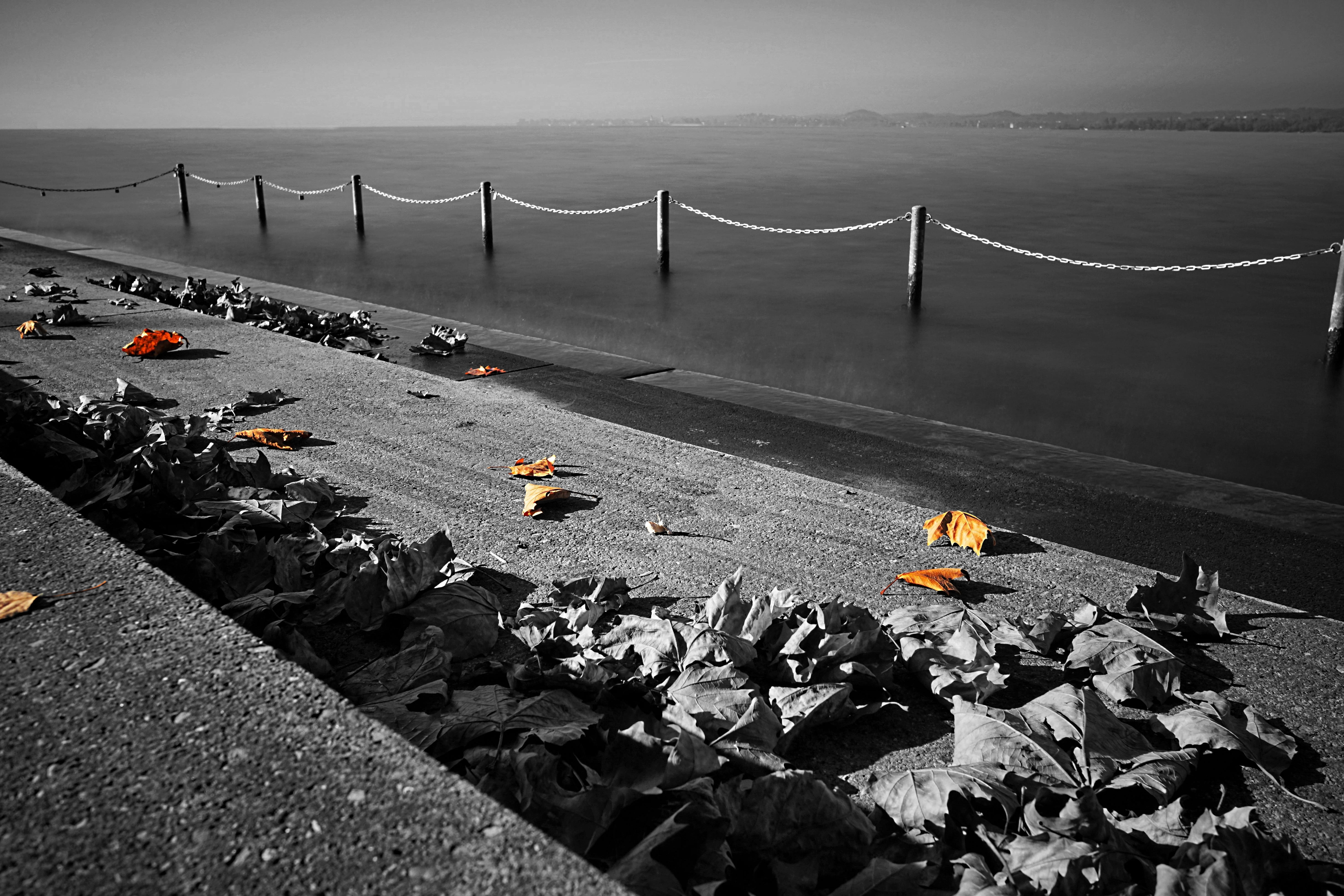 color effect, isolated color, autumn, sea, nature, architecture, real people, white, connection, lake, water, mode of transportation, day, high angle view, HD Wallpaper