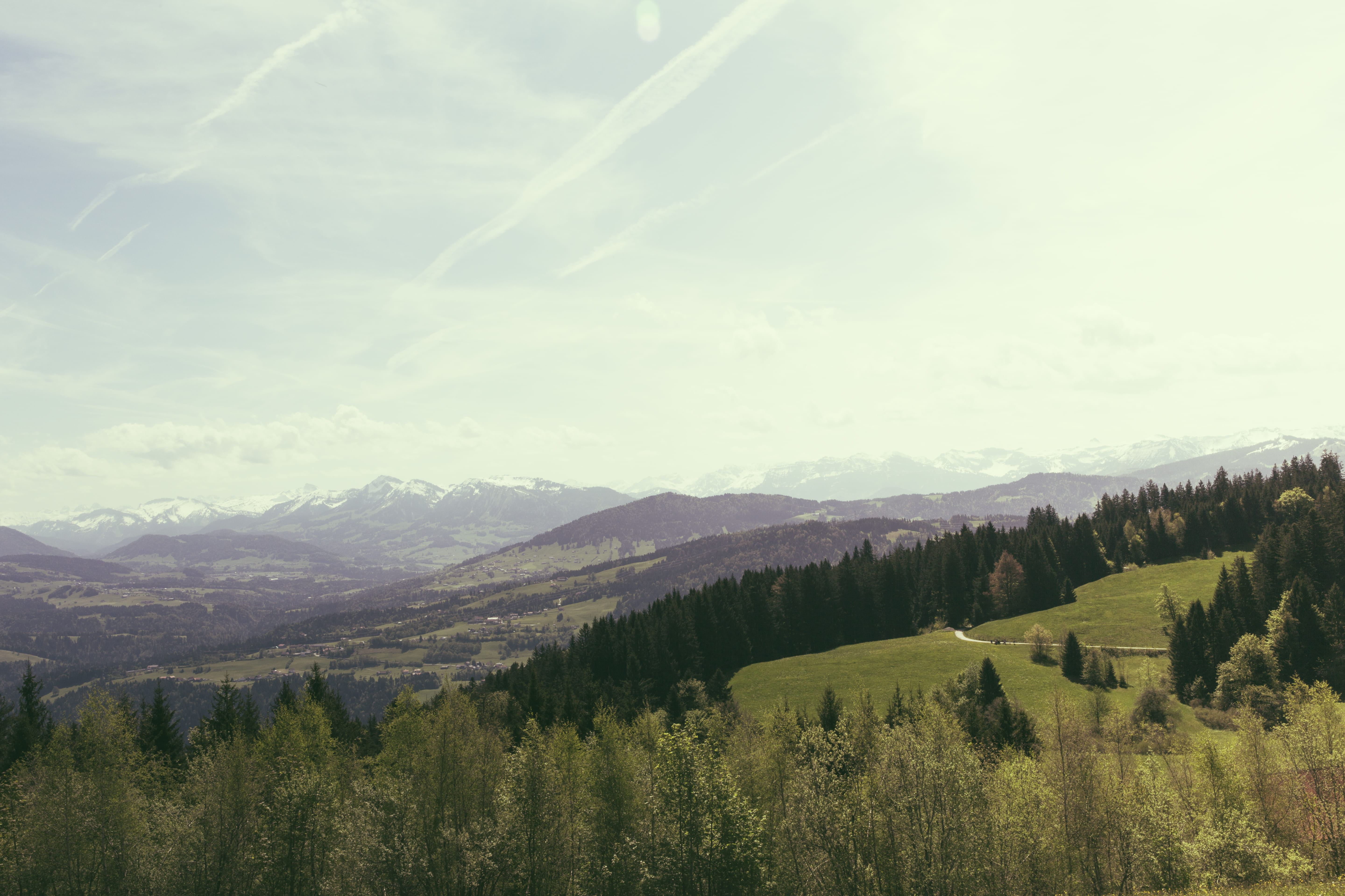 growth, cloud - sky, pfänder bergstation, tranquil scene, alps, green color, 5K, plant, alp, beauty in nature, land, day, landscape, hiking, forest, bregenz, HD Wallpaper