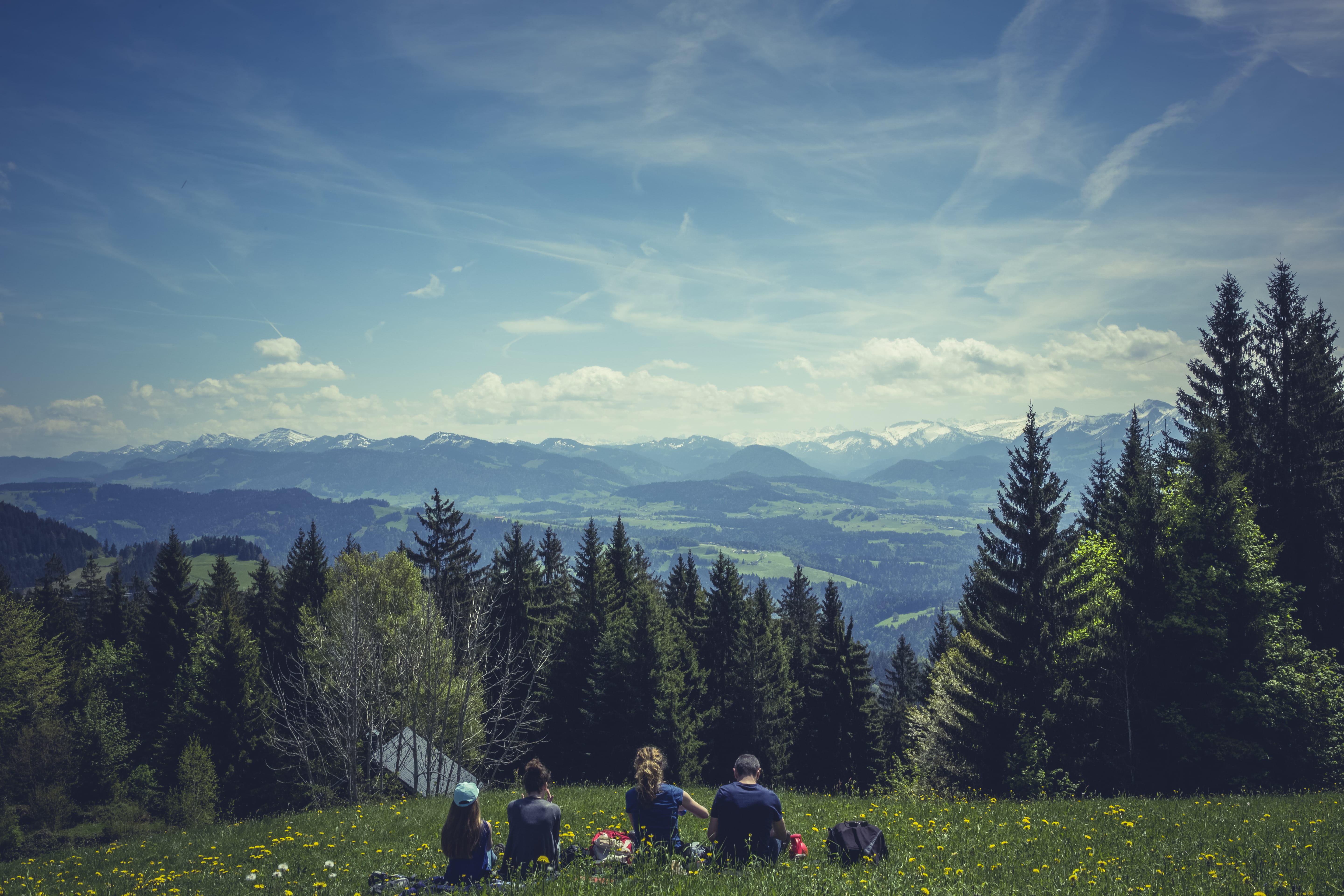 scenics - nature, nature, summtertime, land, outdoors, cloud - sky, hiking, rear view, adventure, leisure activity, forest, tree, real people, panorama, HD Wallpaper