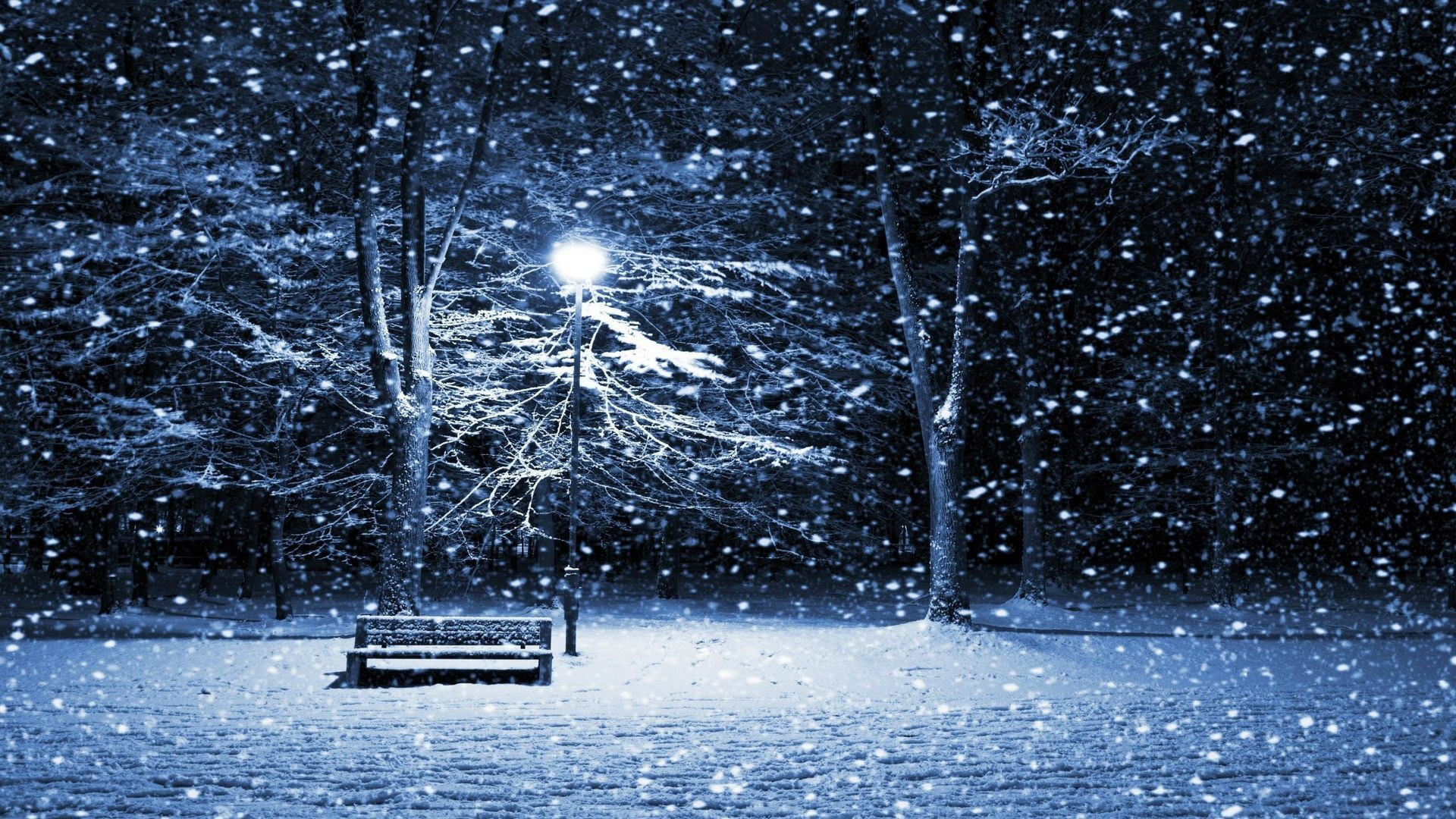 no people, snow, beauty in nature, outdoors, tree, plant, bench, transportation, park bench, mode of transportation, blizzard, 1080P, gray, snowing, nautical vessel, HD Wallpaper