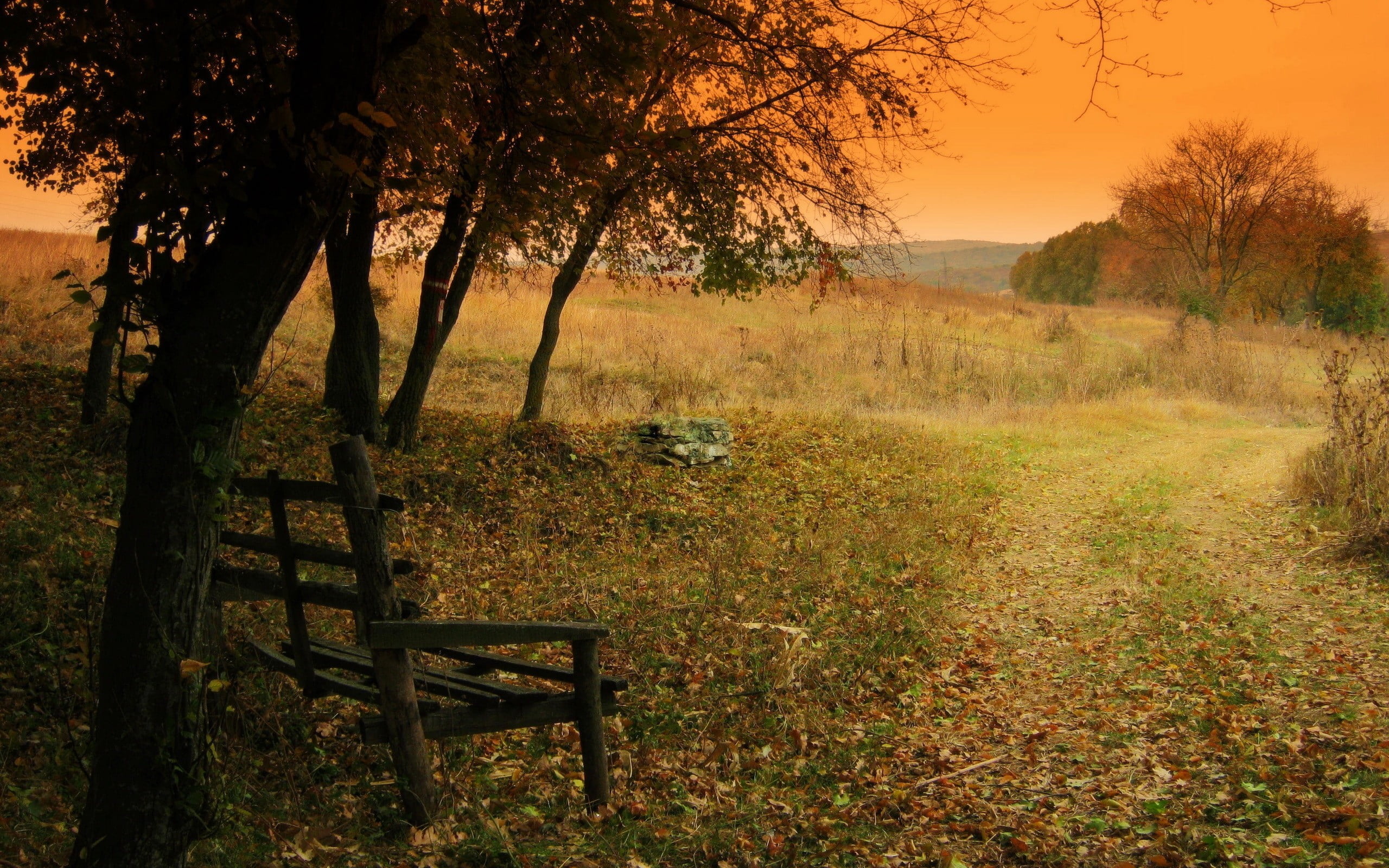 tranquility, bench, green, tree, field, wooden, tree trunk, outdoors, brown, nature, 2K, environment, no people, trunk, scenics - nature, seat, sky, land, HD Wallpaper