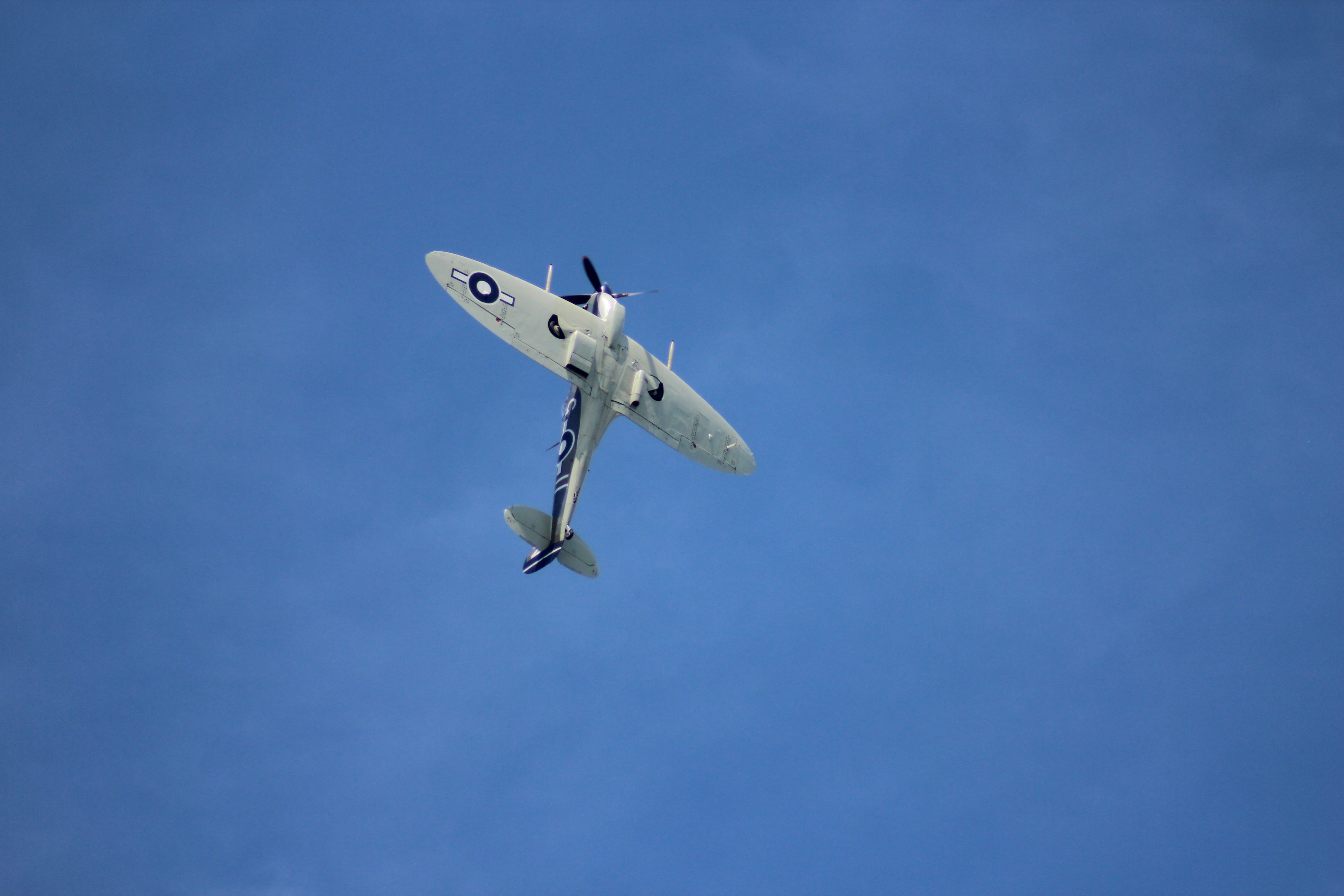 propeller, transportation, air vehicle, war, flight, aircraft, blue, transport, military, raf, fighter, aerospace industry, ww2, british, motion, airfield, HD Wallpaper