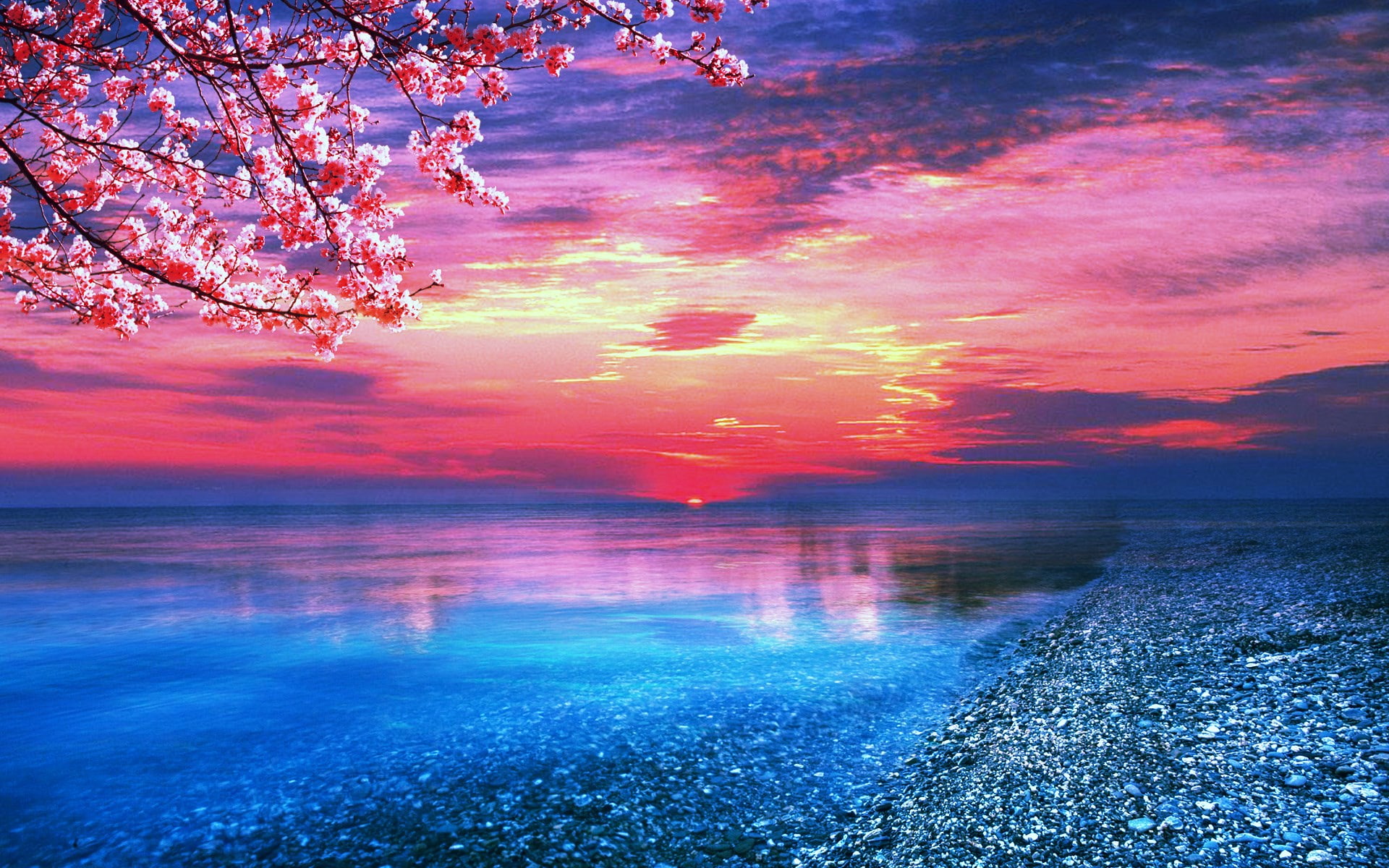 multi colored, idyllic, plant, no people, romantic sky, lake, pink color, tree, dramatic sky, scenics - nature, water, download nature  desktop 1920x1200, HD Wallpaper