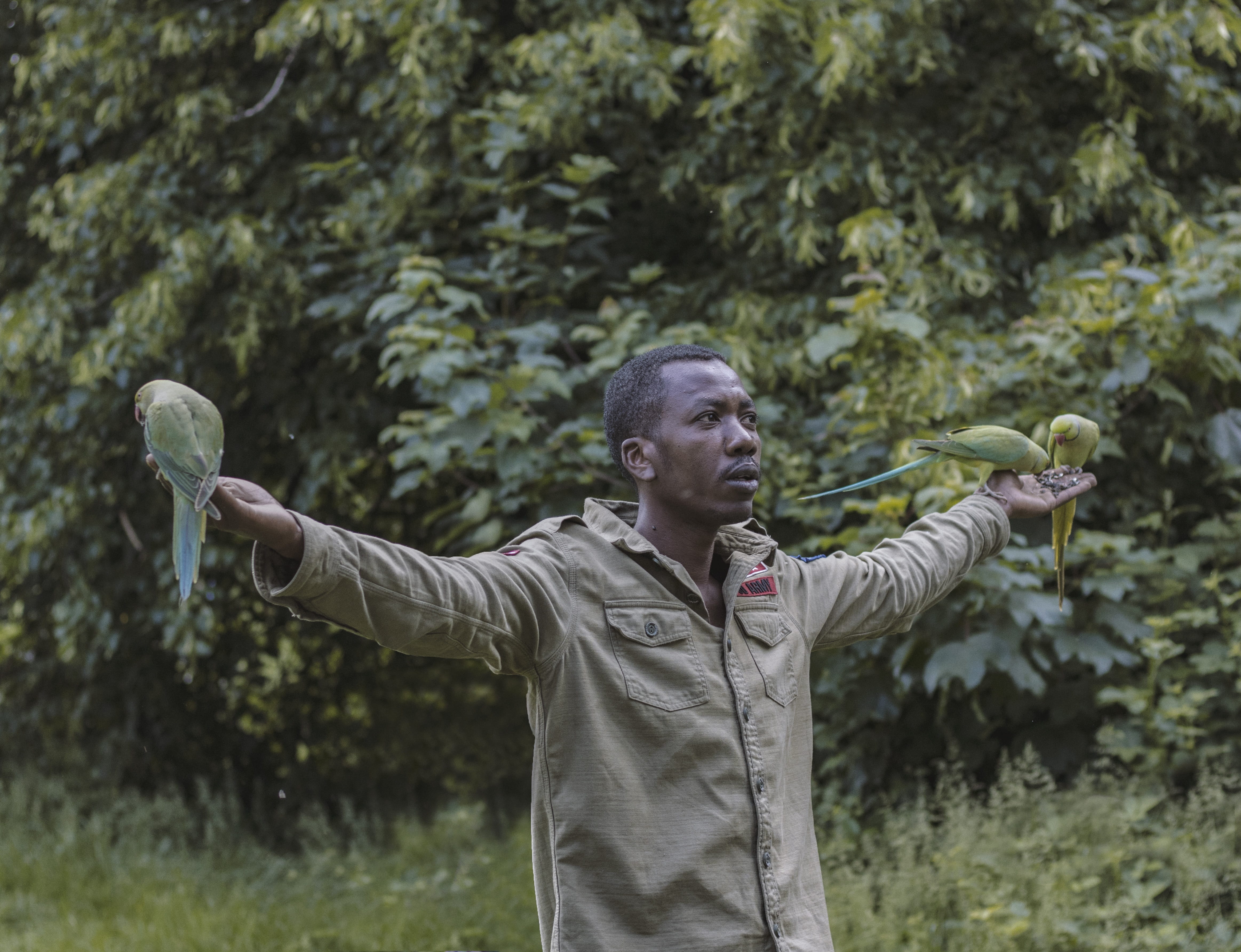human arm, casual clothing, bird man, waist up, hyde park, day, plant, adult, leisure activity, standing, 4K, land, man, tree, young adult, outdoors, looking, HD Wallpaper