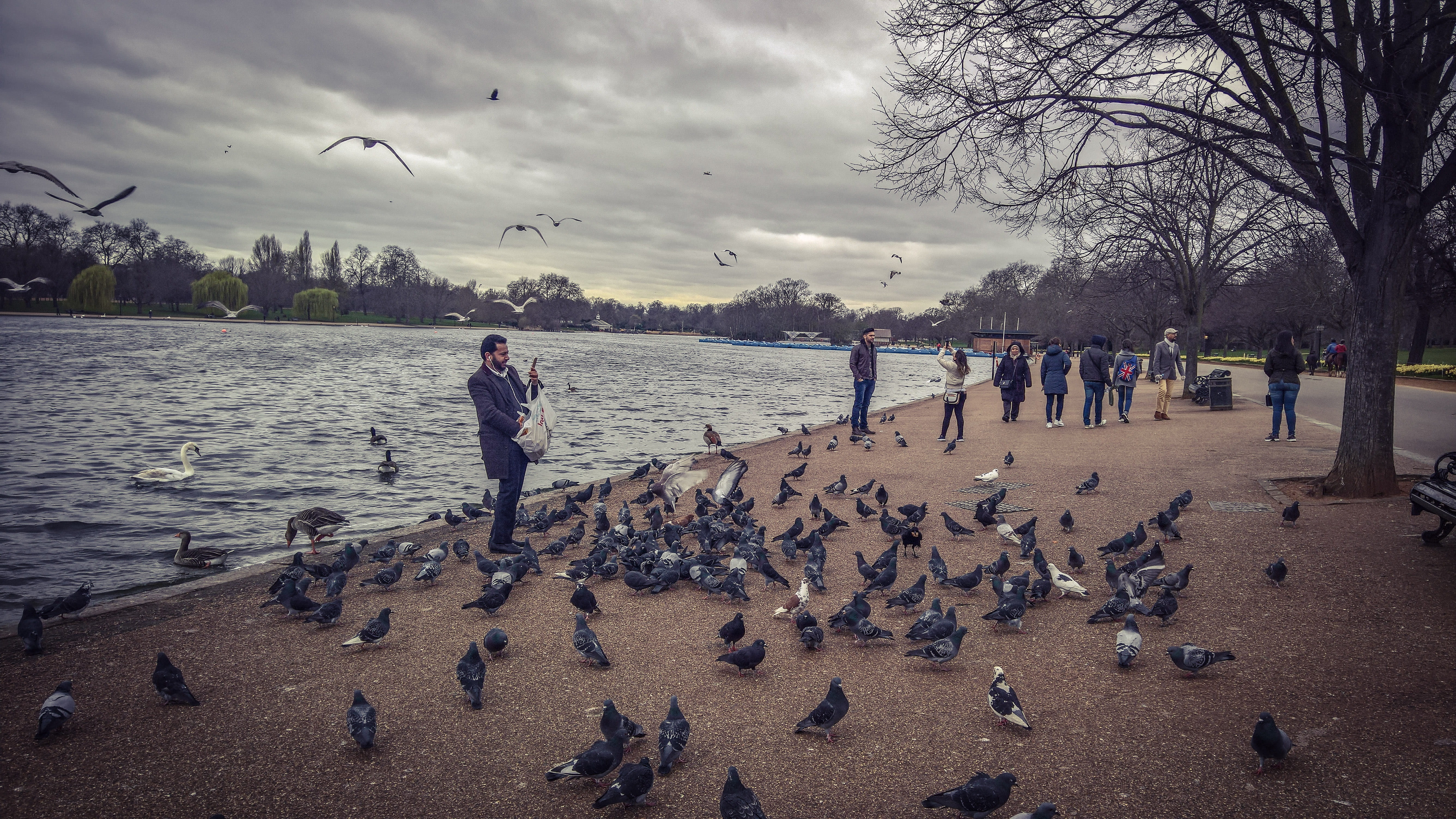 duck, outdoors, men, seagull, clouds, serpentine, water, sky, pigeon, group of people, birds, lake, flock of birds, animals in the wild, bird, day, real people, HD Wallpaper