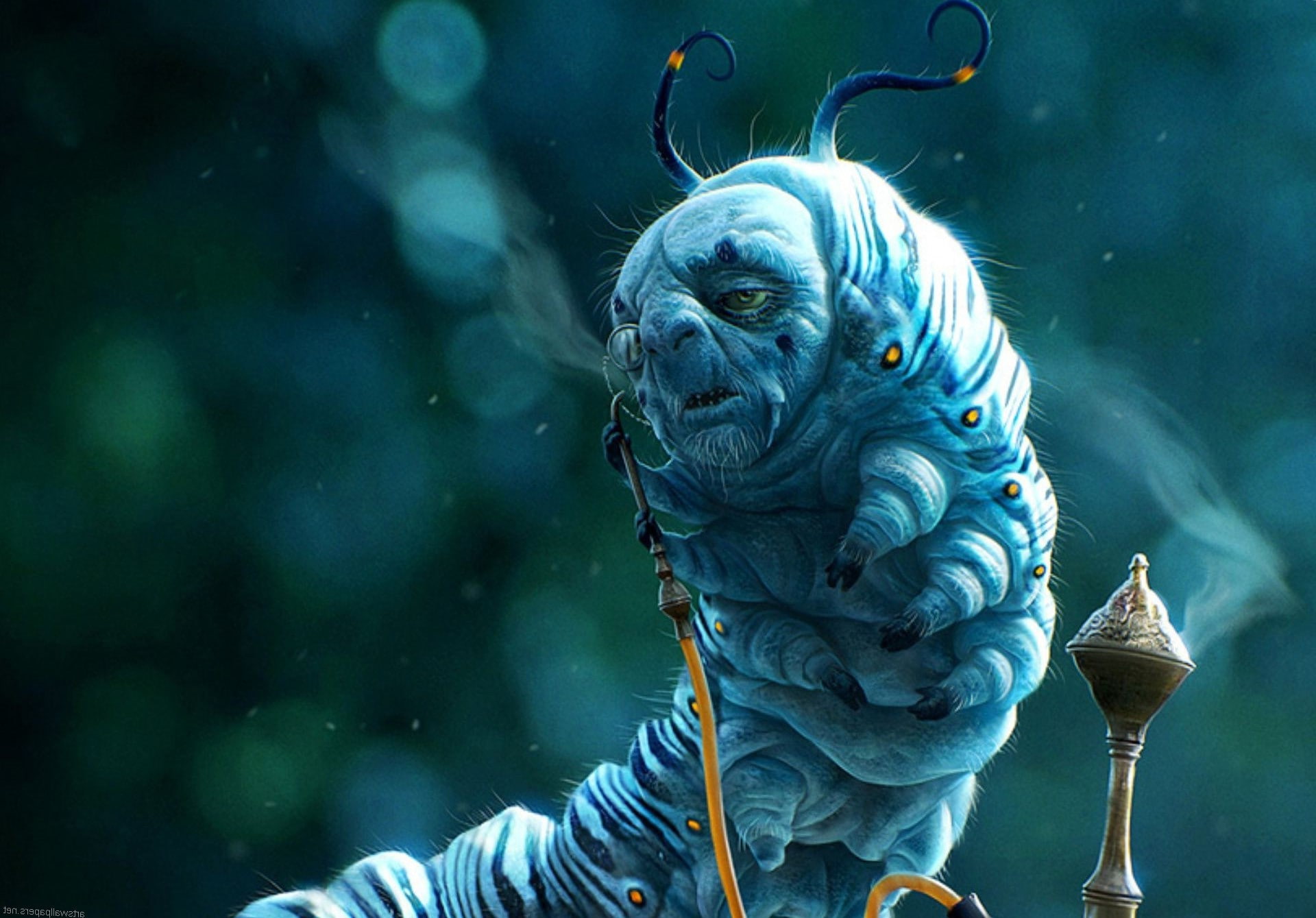 underwater, alice in wonderland fantasy art creatures winter blue weird smokes, animals in captivity, portrait, outdoors, animal wildlife, focus on foreground, HD Wallpaper
