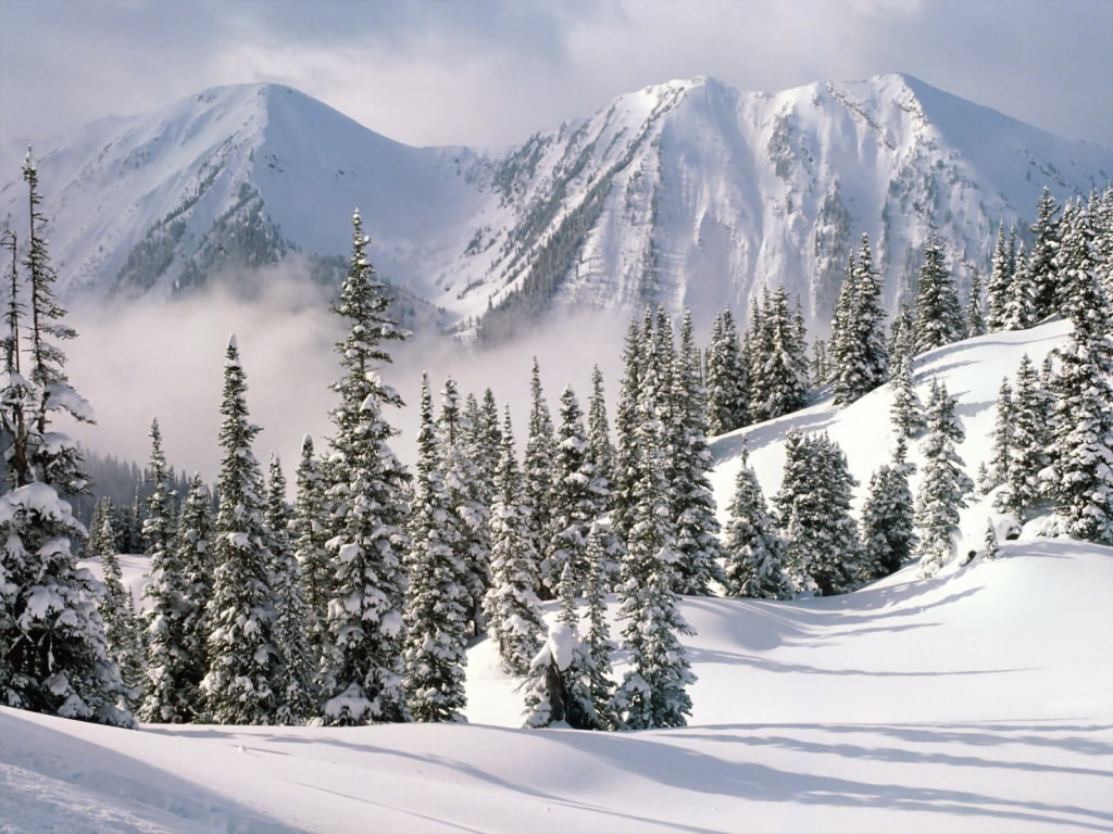Trees, nature, Christmas, mountain, hd, mountains, 480P, winter, wonderland, art, snow, HD Wallpaper