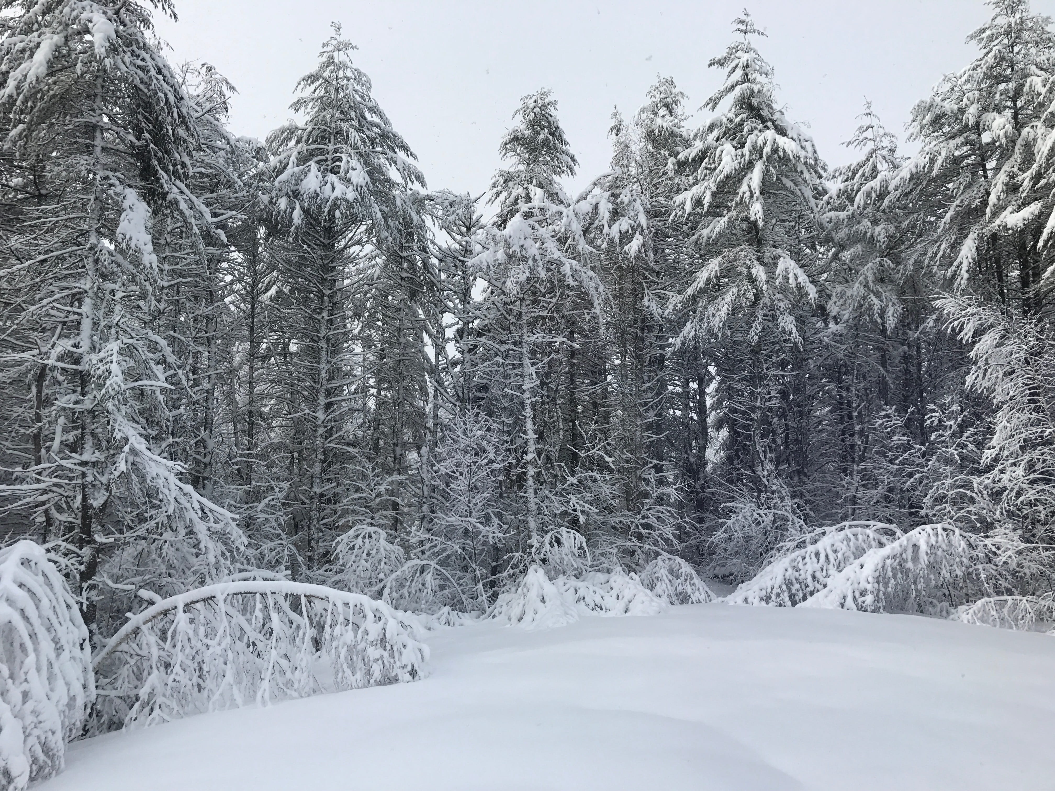 frozen, scenics - nature, 4K, ice, snowing, beauty in nature, land, wonderland, landscape, snowcapped mountain, february, white color, frost, nature, scenic, HD Wallpaper