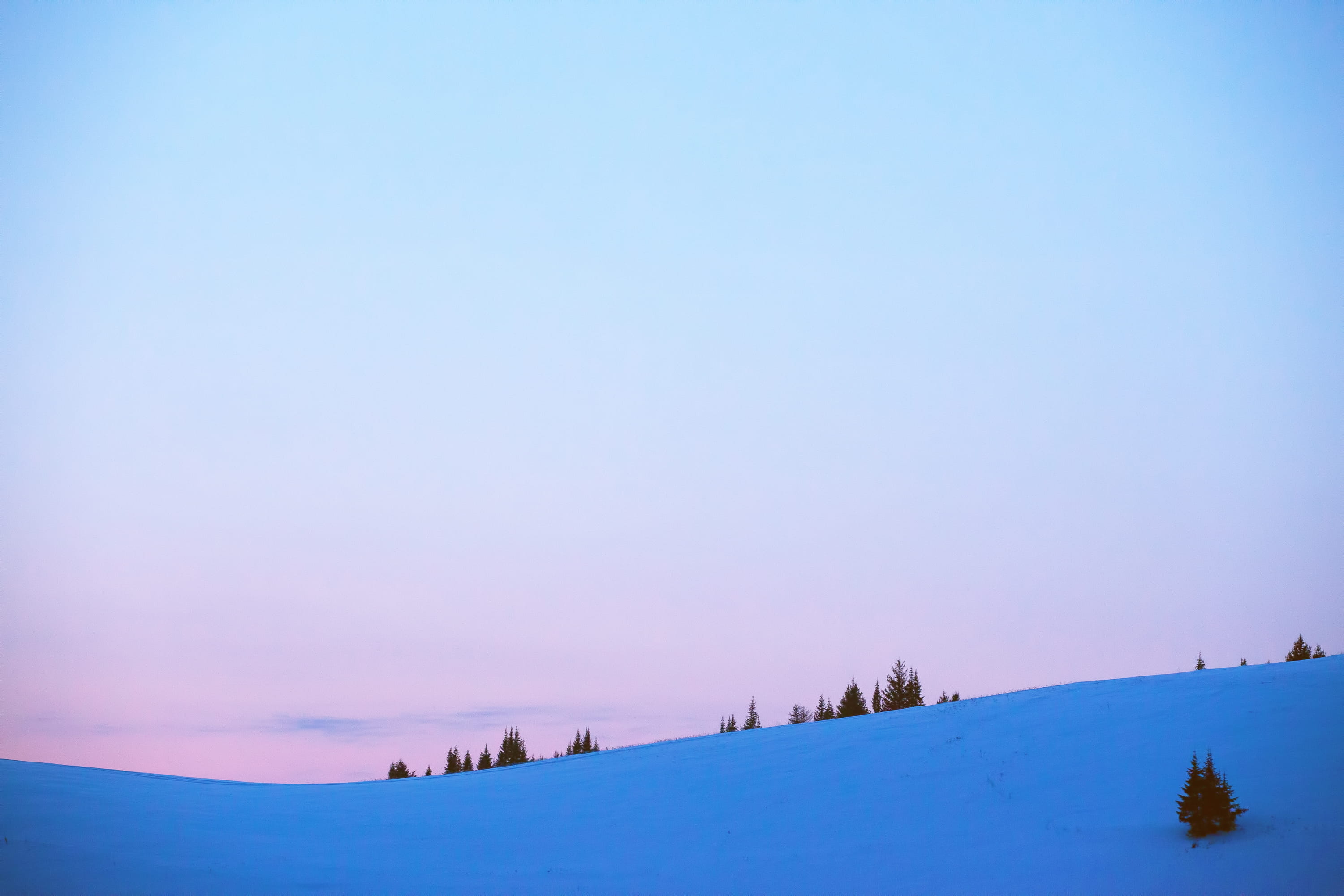 silence, forest, sky, cold, travel, clear sky, snowfall, outdoors, cold temperature, frozen, winter, background, hill, space, copy, frost, vacation, snow, HD Wallpaper