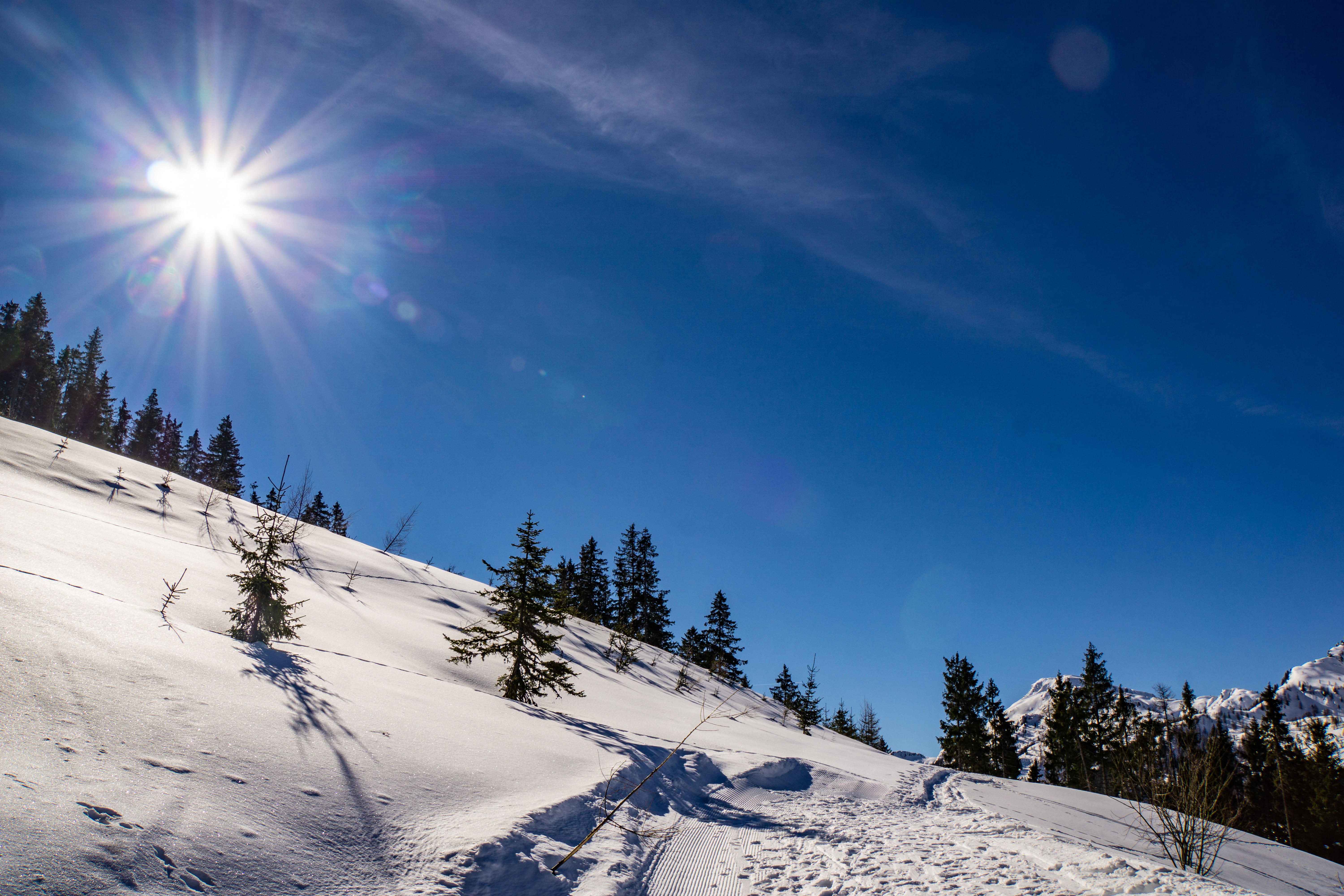 alps, 5K, conifer, winter wonderland, cold temperature, sunlight, beauty in nature, tranquil scene, sun, no people, nature, non-urban scene, winter, tranquility, HD Wallpaper